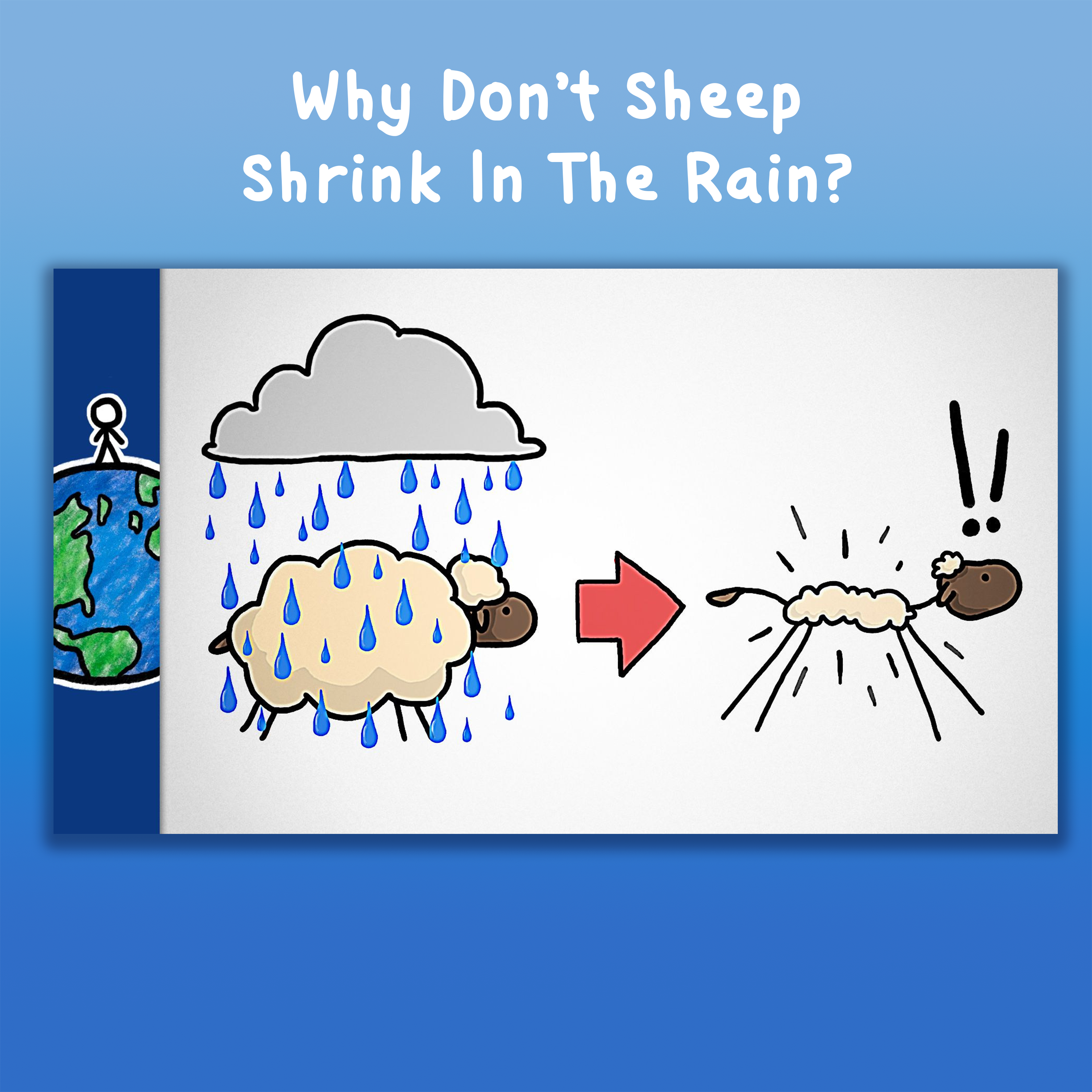 Why Don’t Sheep Shrink In The Rain?