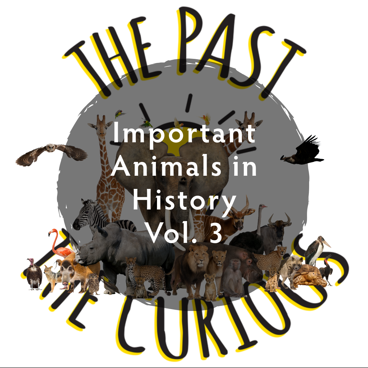Animals Vol 3: Signalman Jack, Cacareco, and Pickles!