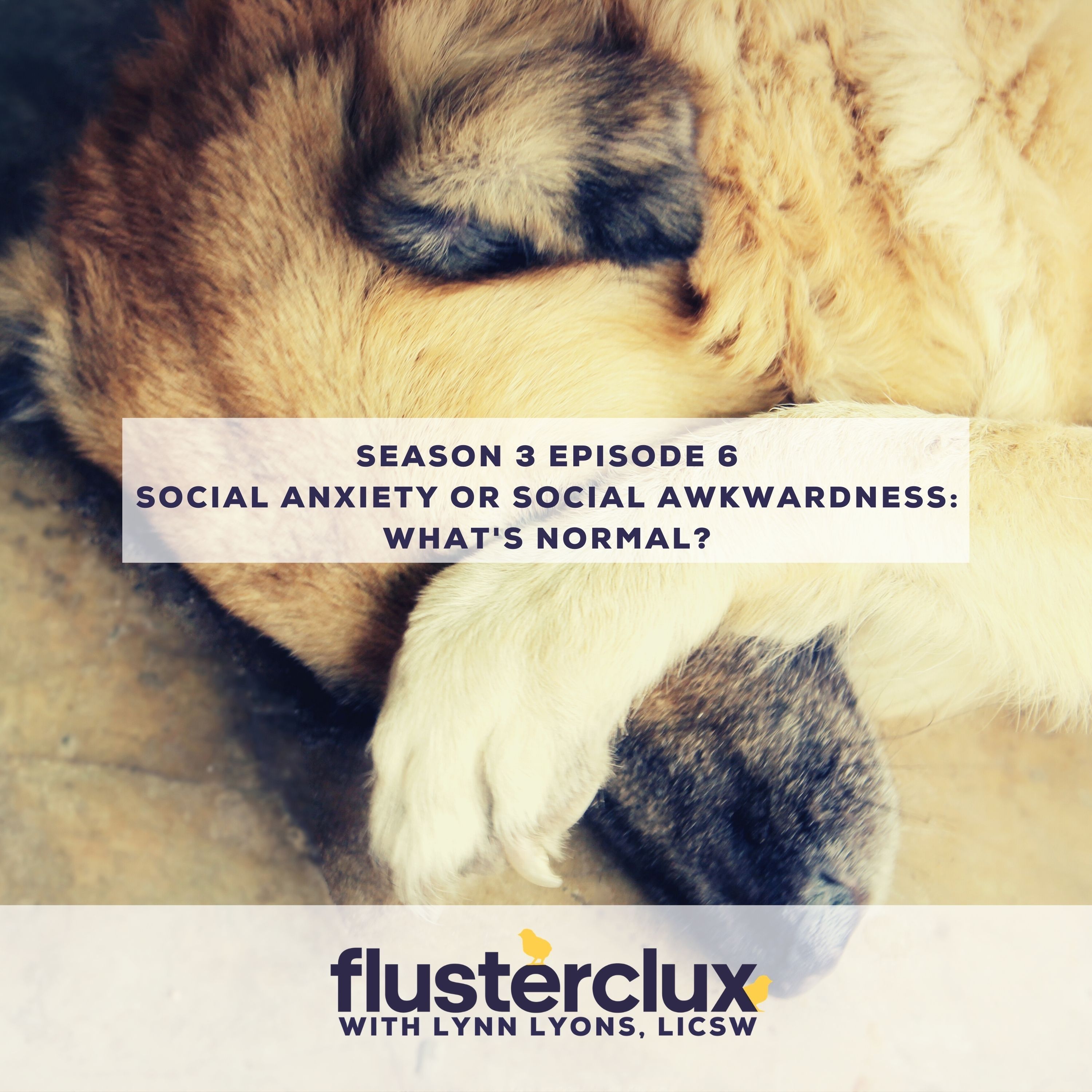 Social Anxiety Or Social Awkwardness: What's Normal?