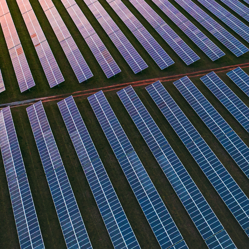 Chris Stark, CEO of the Climate Change Committee, on the Promise of COP26, Net Zero and Climate Adaptation