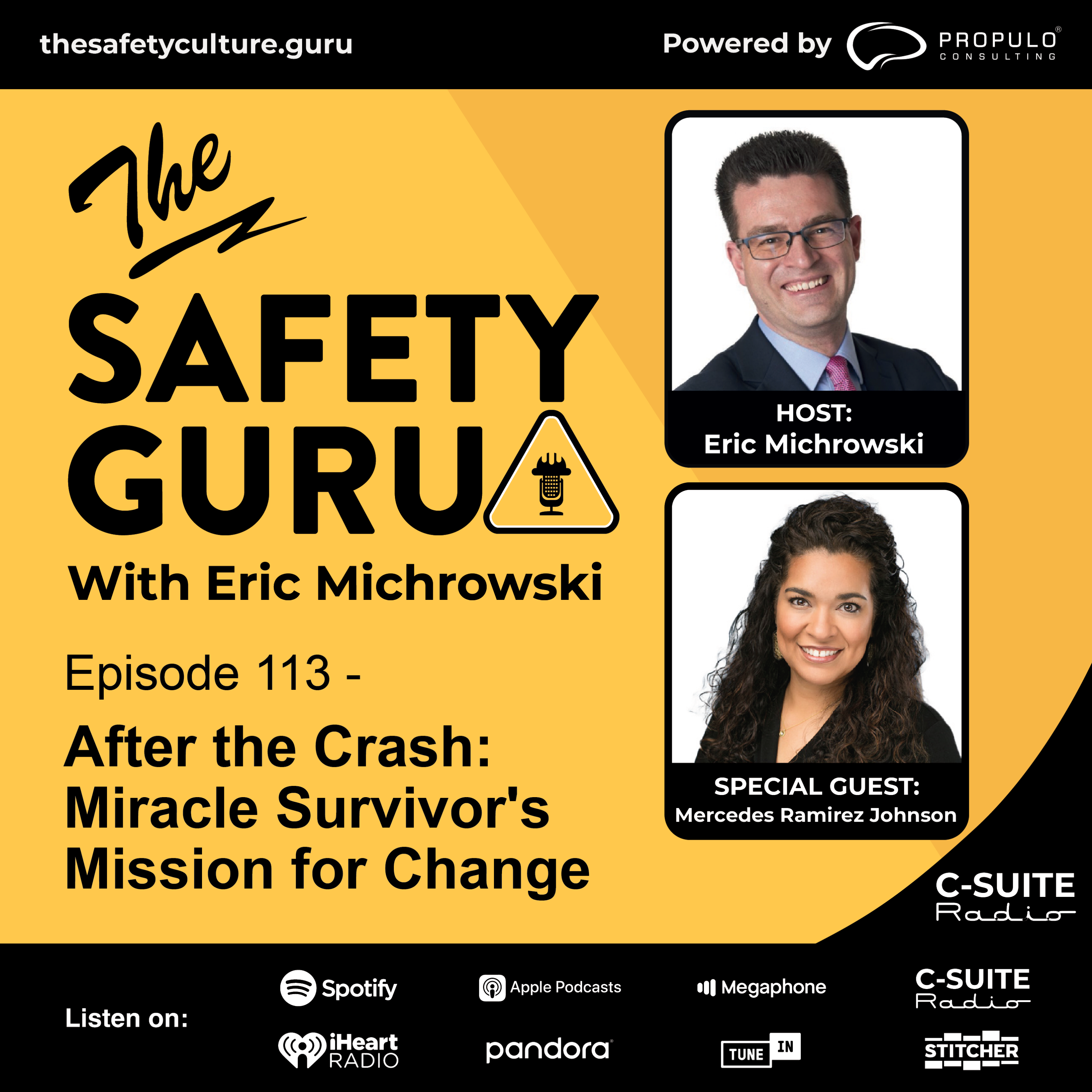 Episode 113 - After the Crash: Miracle Survivor's Mission for Change with Mercedes Ramirez Johnson episode artwork