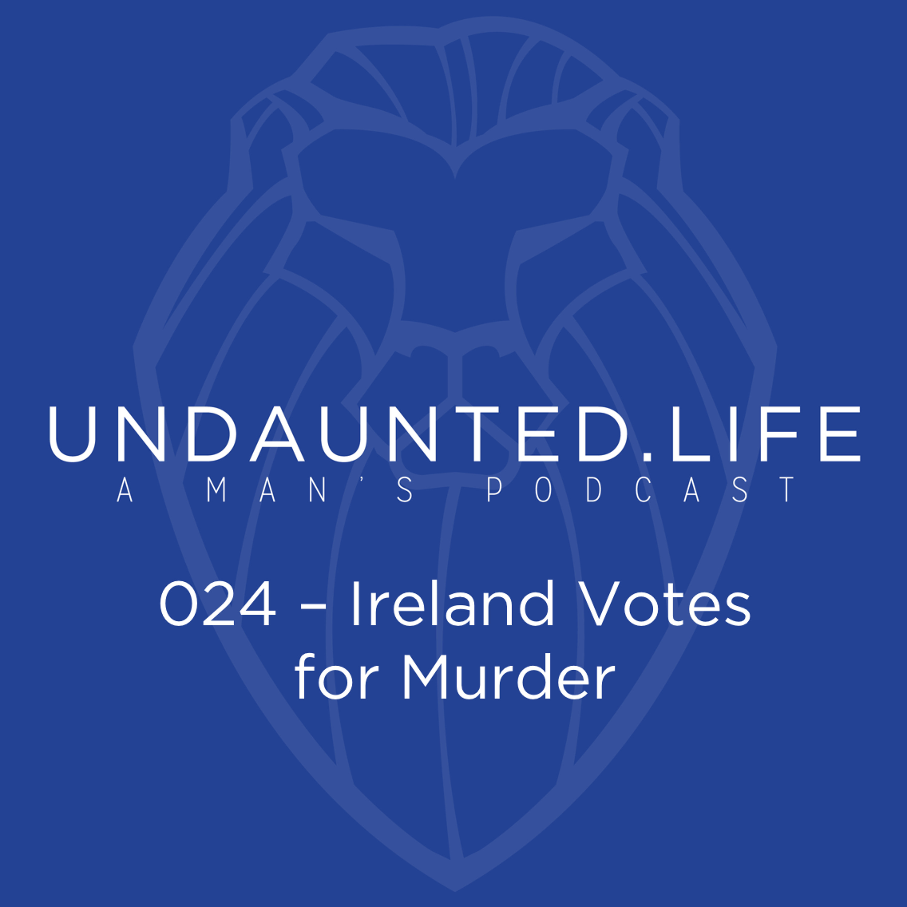 024 - Ireland Votes For Murder