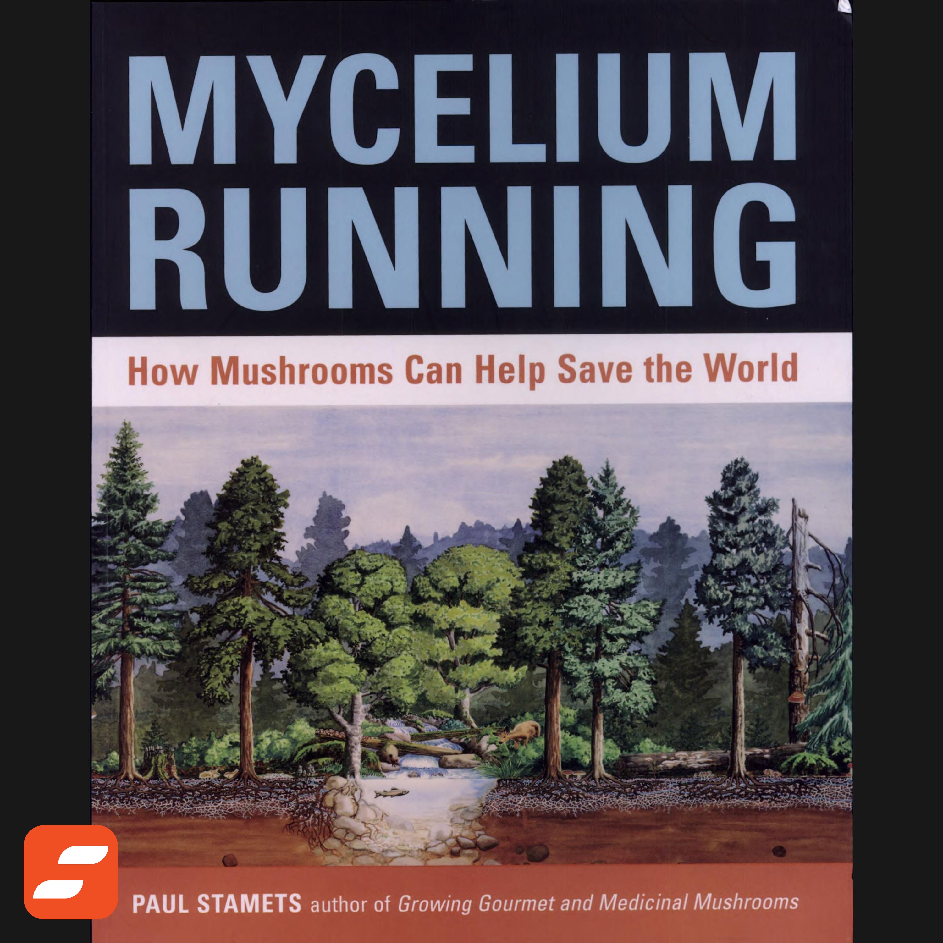 Mycelium Running Summary | Paul Stamets