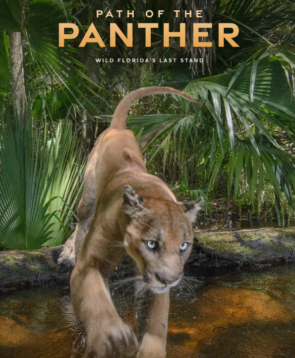 Carlton Ward JR on Florida Panthers