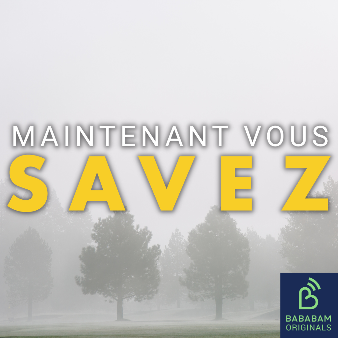 Qu’est-ce qu’un collecteur de brouillard ?
