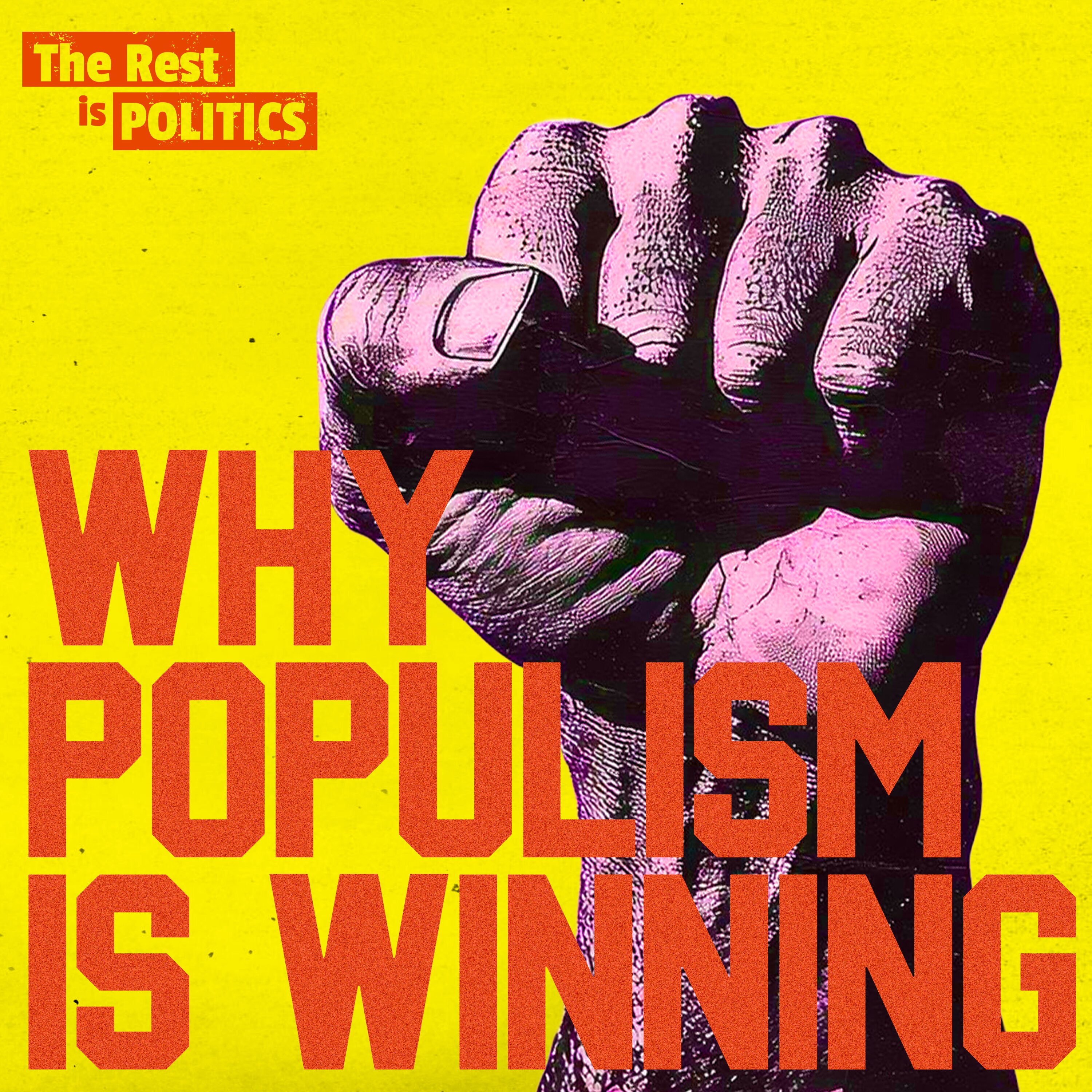 Beating Populism: How To Fight Back artwork