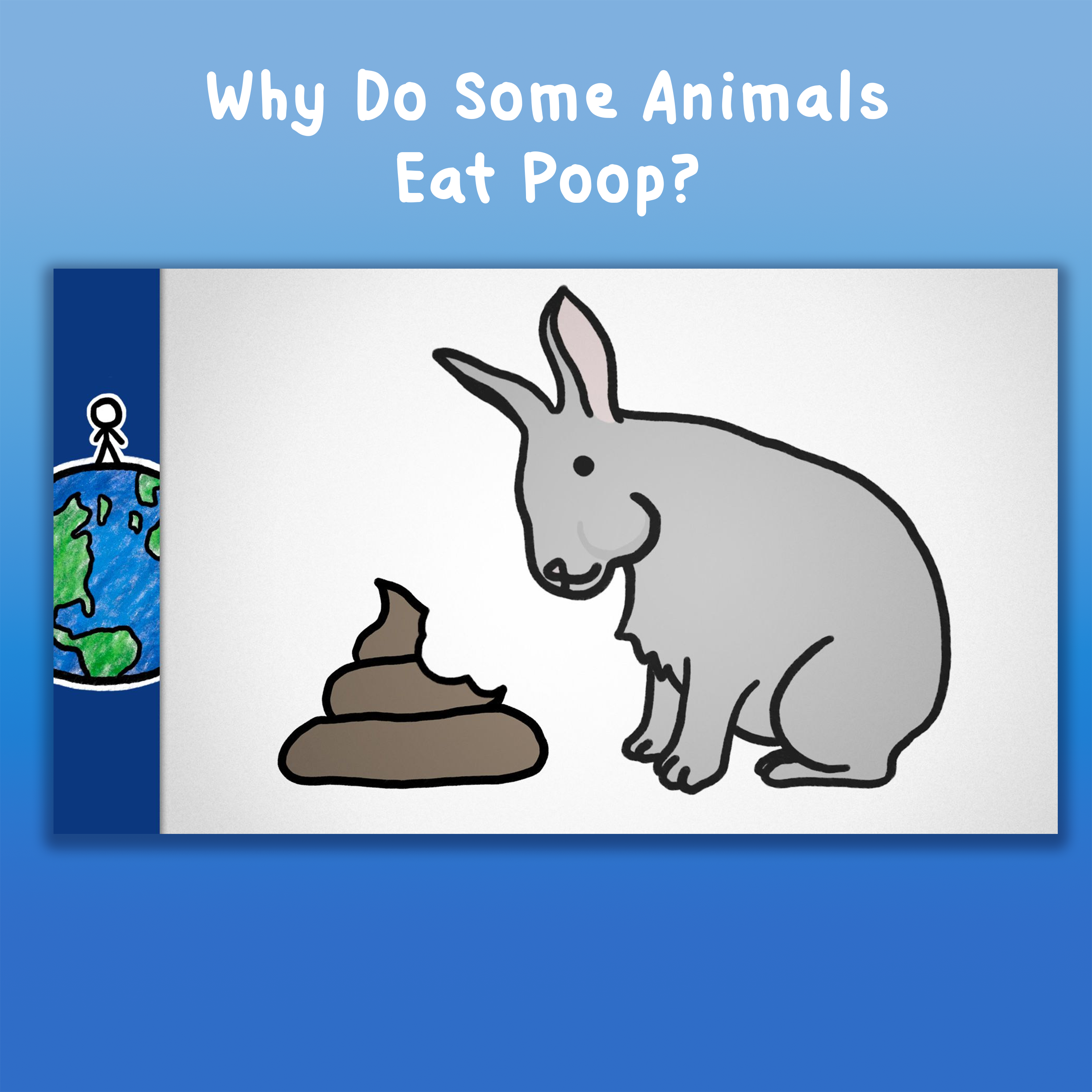 Why Do Some Animals Eat Poop?