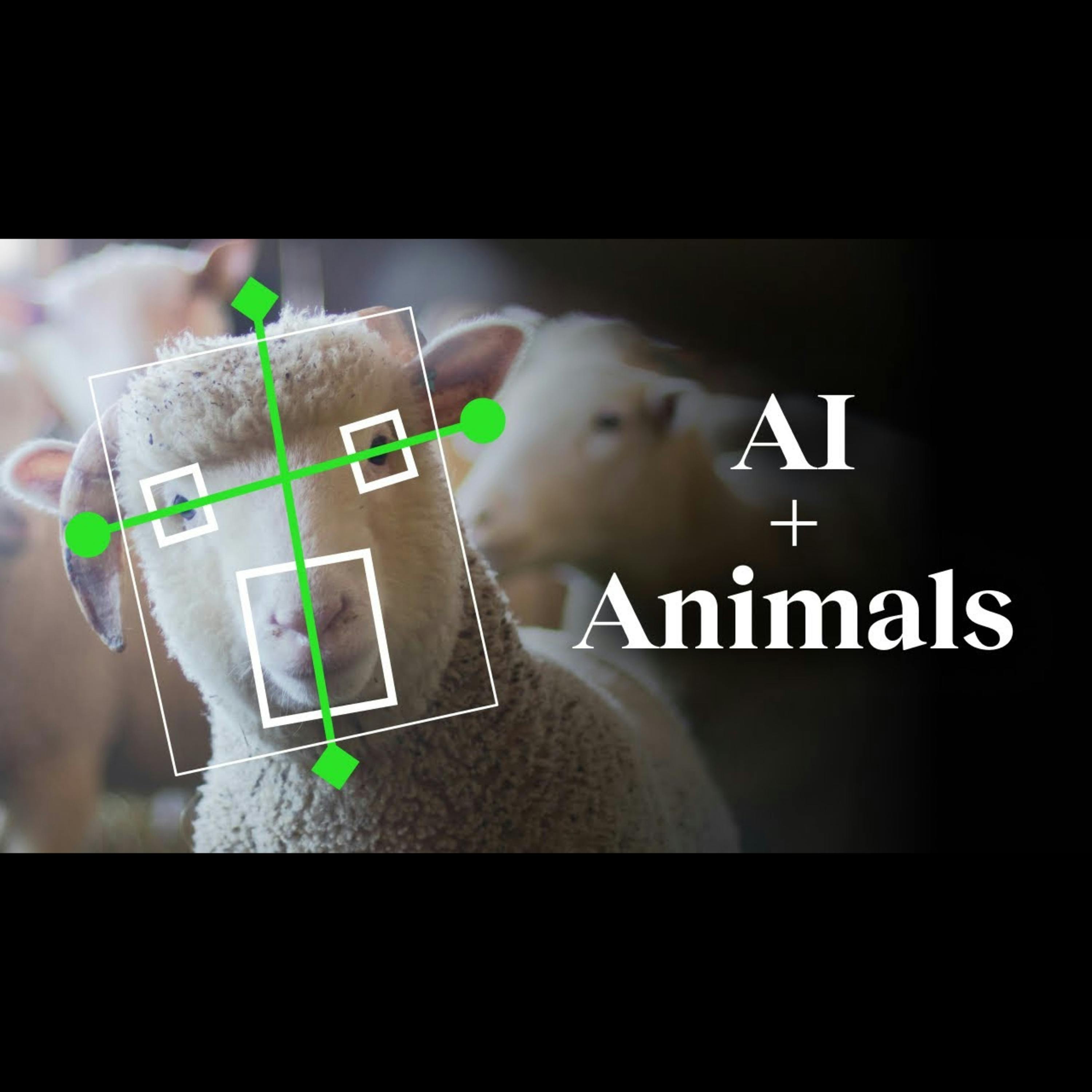 The unexpected impact of AI on animals | Peter Singer - BIGTHINK