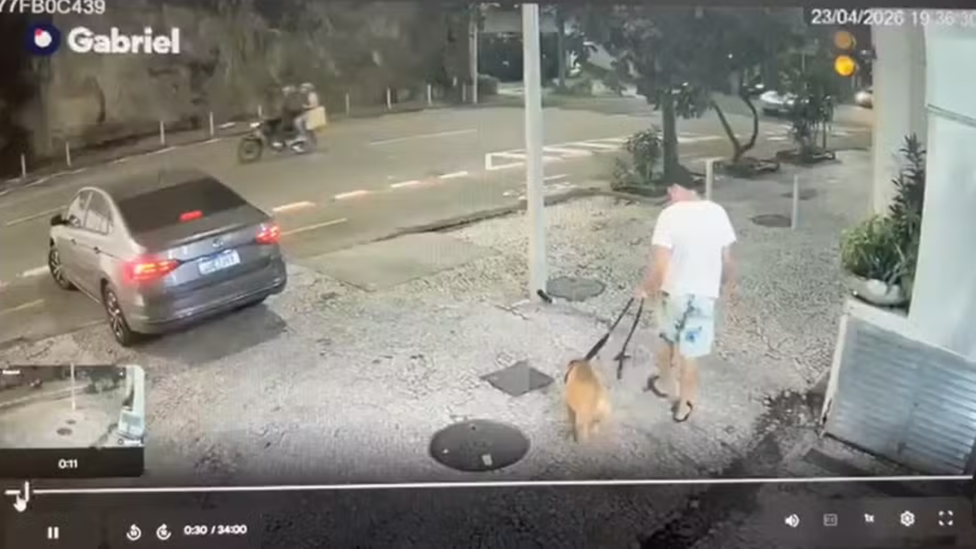 Polícia Civil do Rio indicia homem por suspeita de afogar cachorro no mar em Copacabana episode artwork