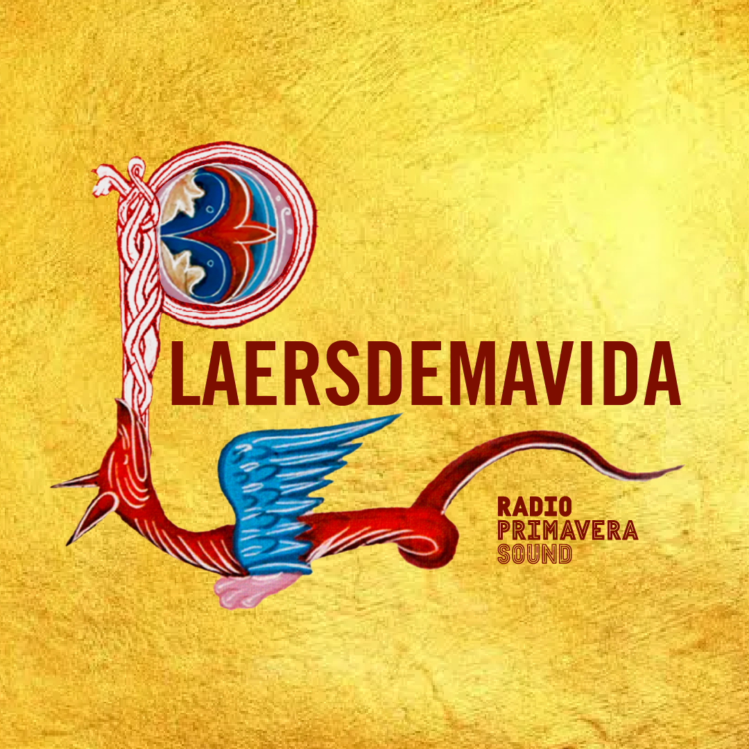 #31 Brigades de confusió popular