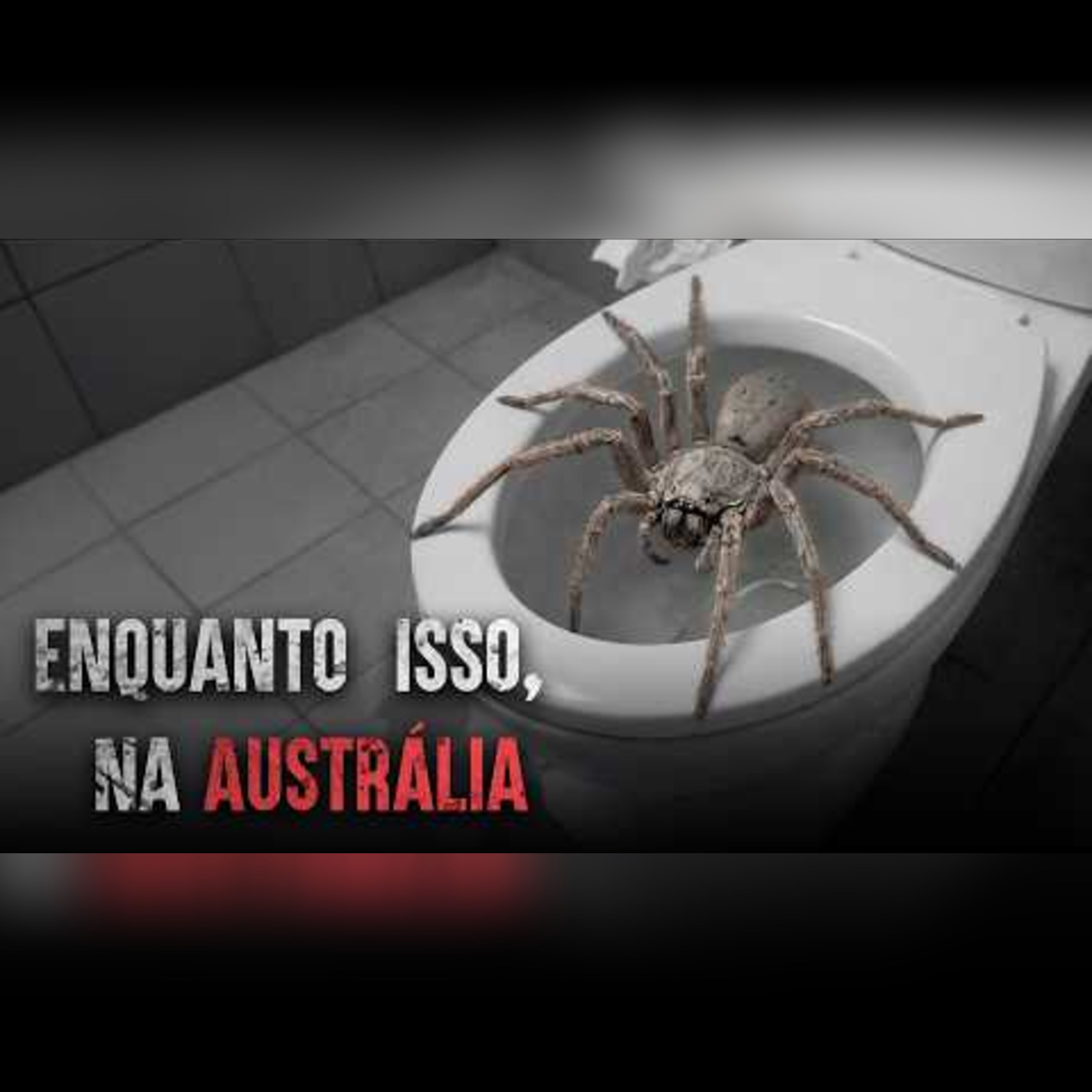 Os ataques de animais mais mortais da Austrália episode artwork