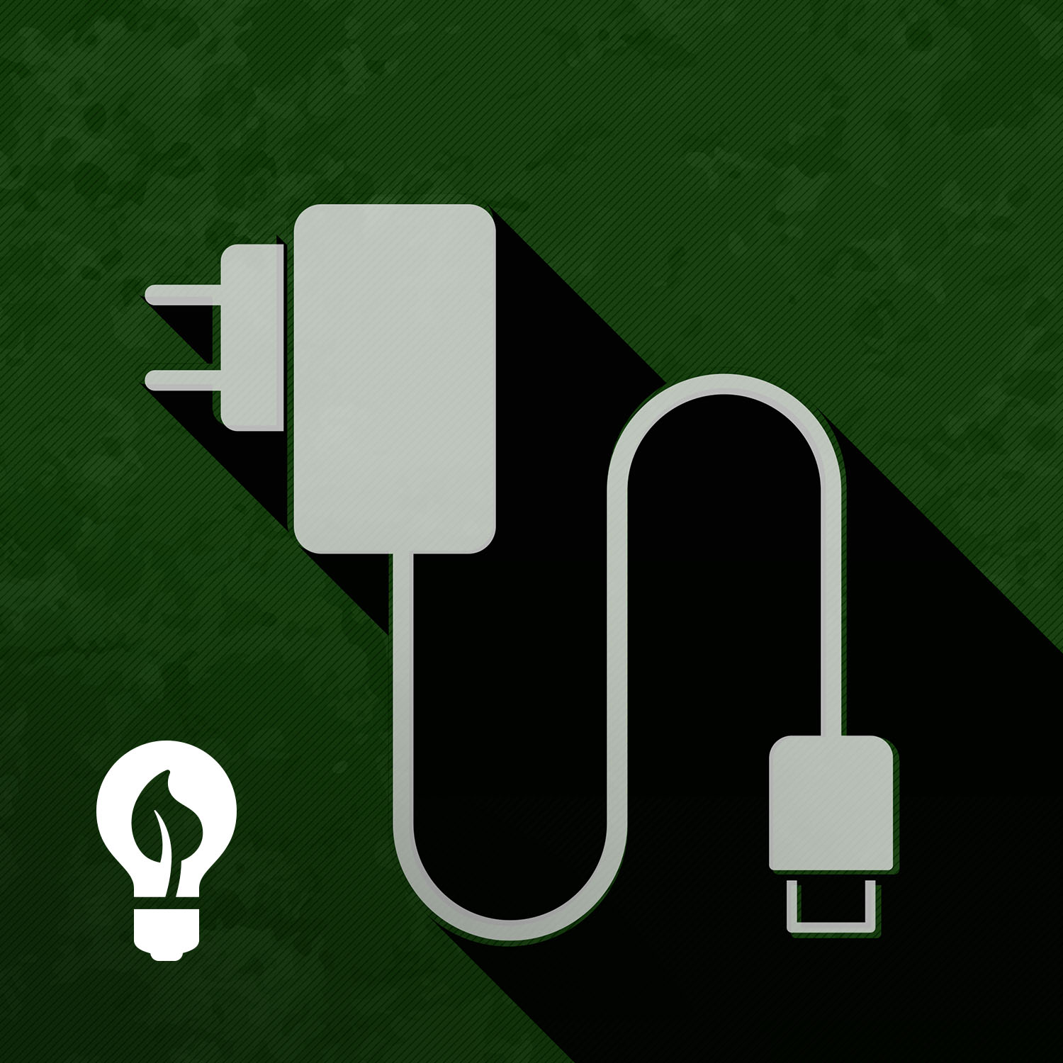 A Sustainable Future