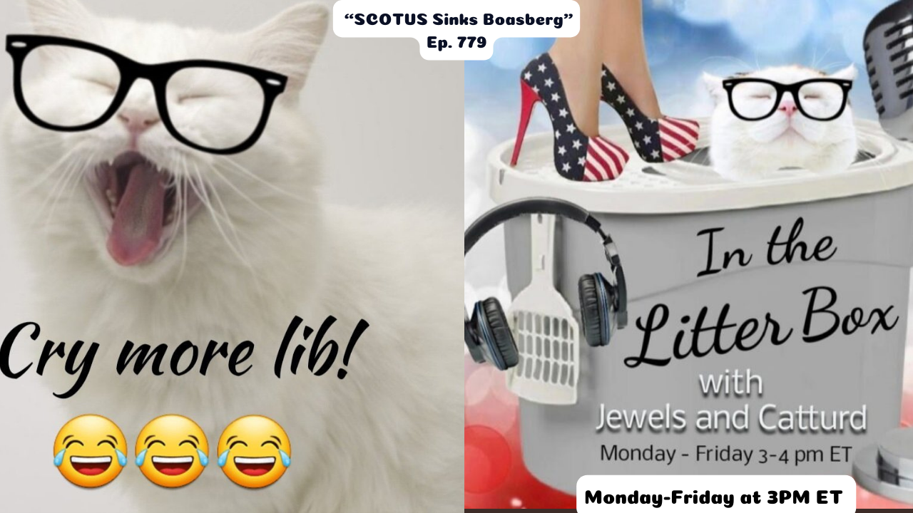 SCOTUS Sinks Boasberg | In the Litter Box w/ Jewels & Catturd – Ep. 779 – 4/8/2025