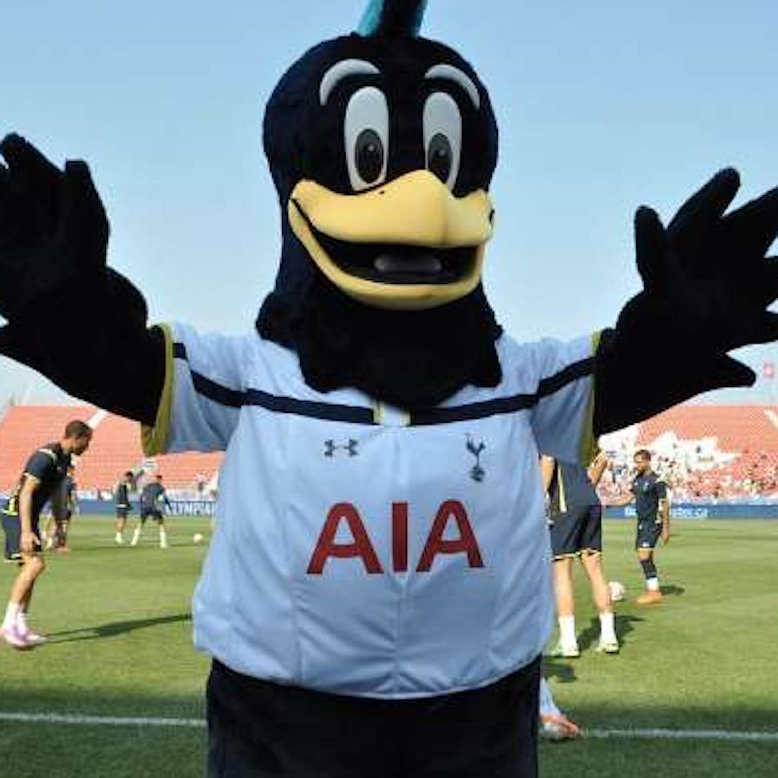 Football’s Back!