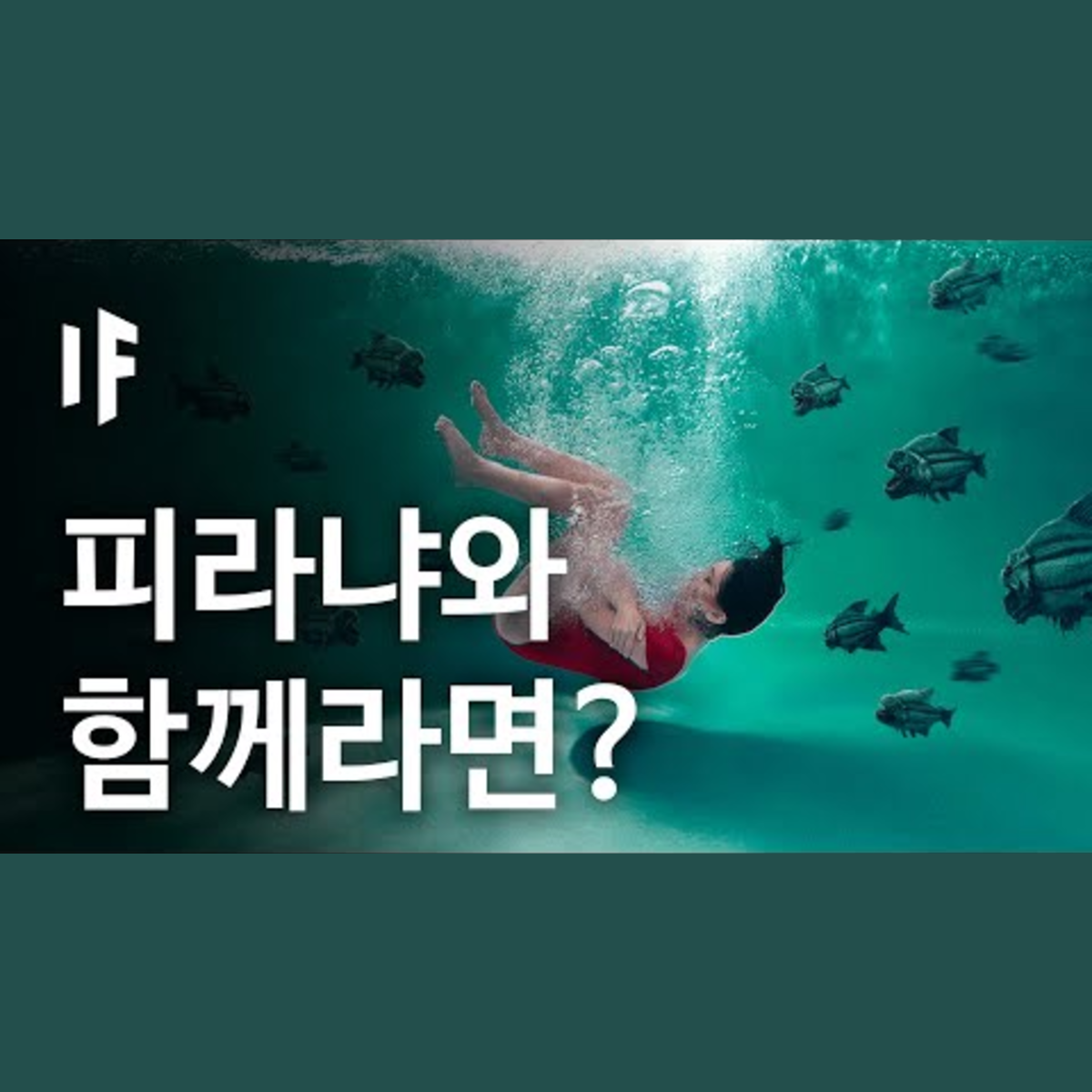 만약에 당신이 피라냐 풀장으로 빠진다면? | 만약에 What If Korea episode artwork