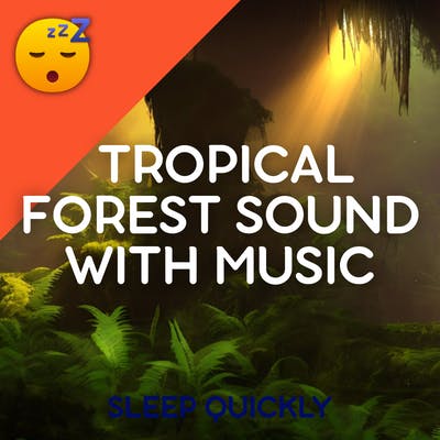 😴🍂🎵 Binaural Sound of TROPICAL FOREST with MUSIC episode artwork
