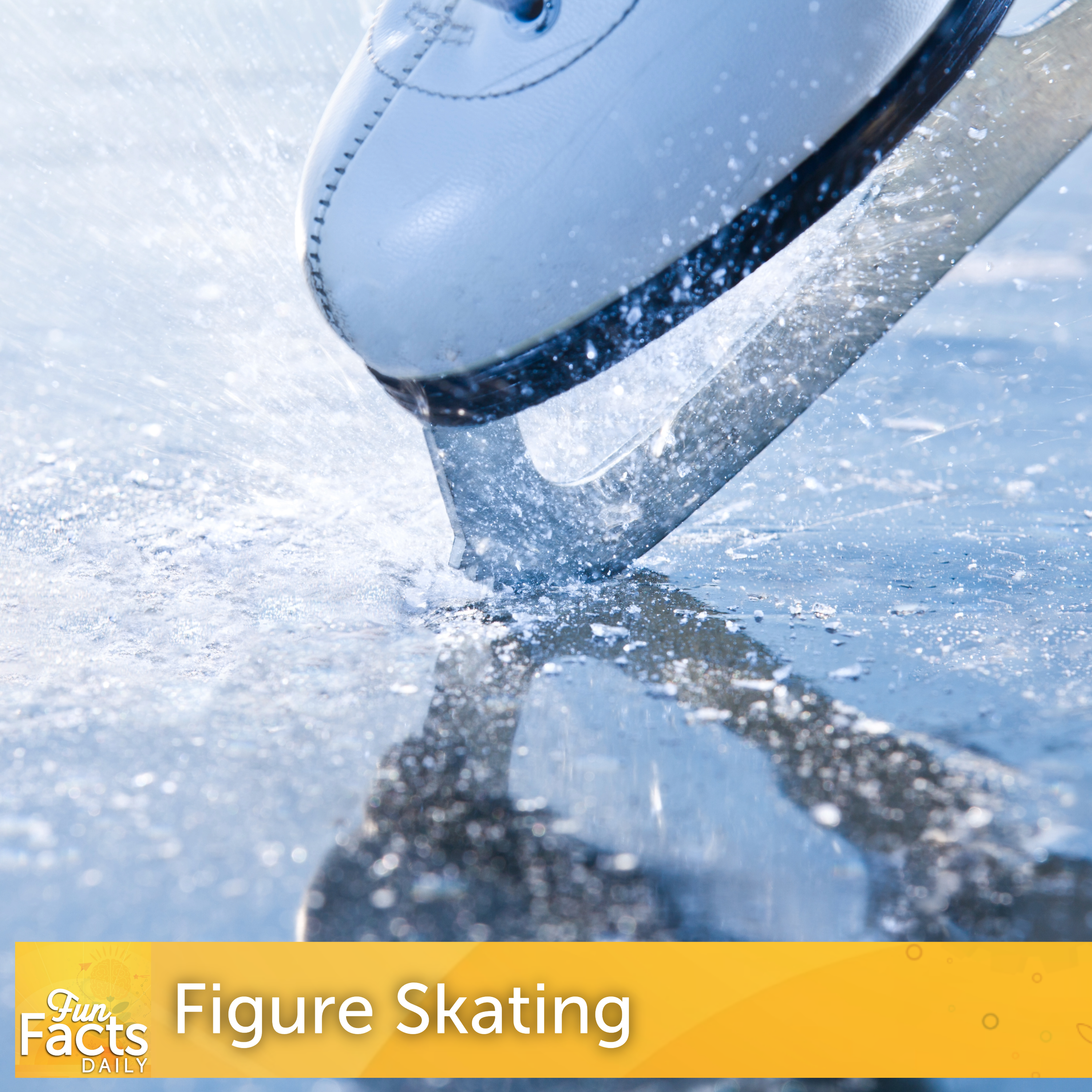 Fun Facts About Figure Skating