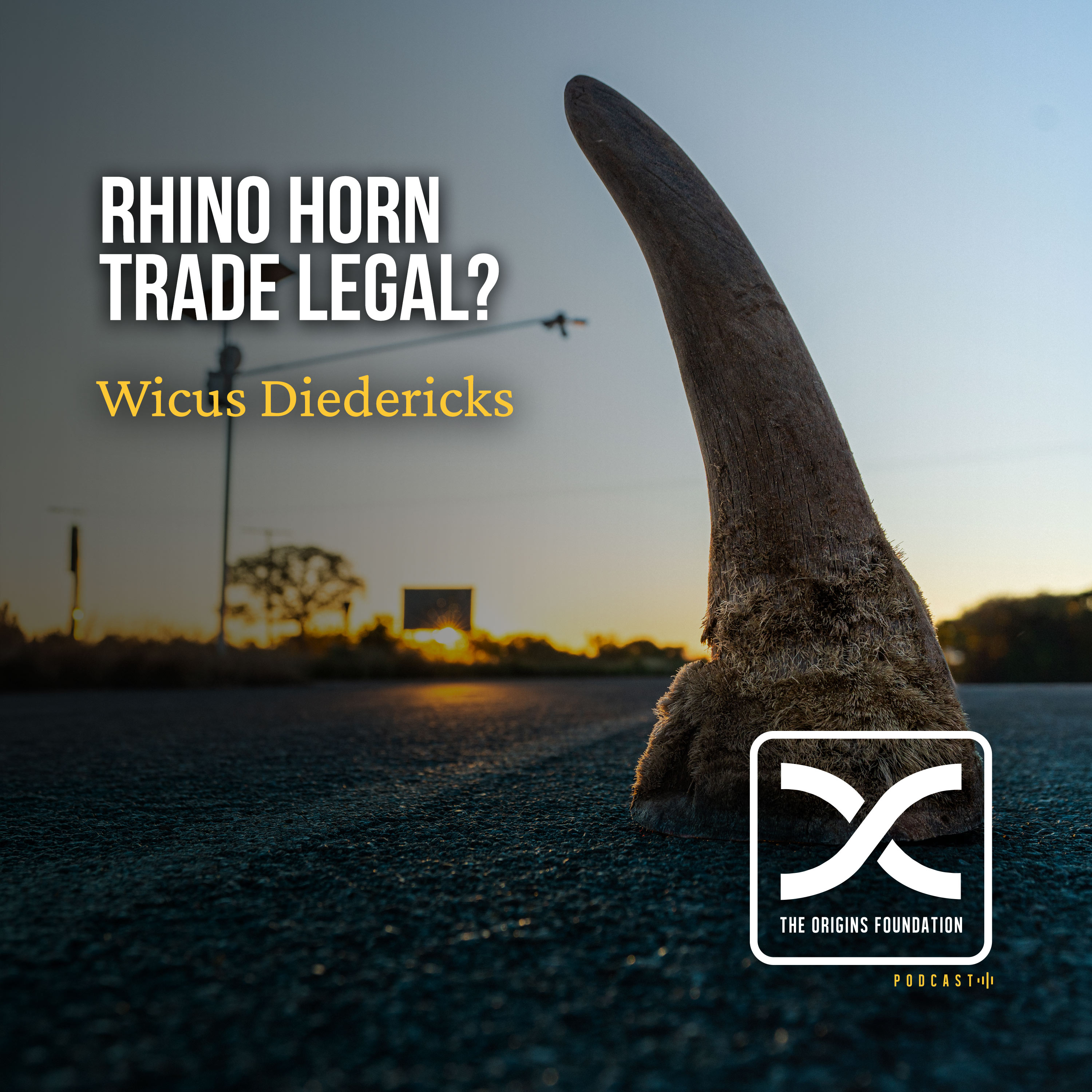 Episode 656 - Wicus Diedericks || Rhino Horn Trade Legal?