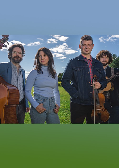 Shane Cook and the Woodchippers - Meaford Hall episode artwork
