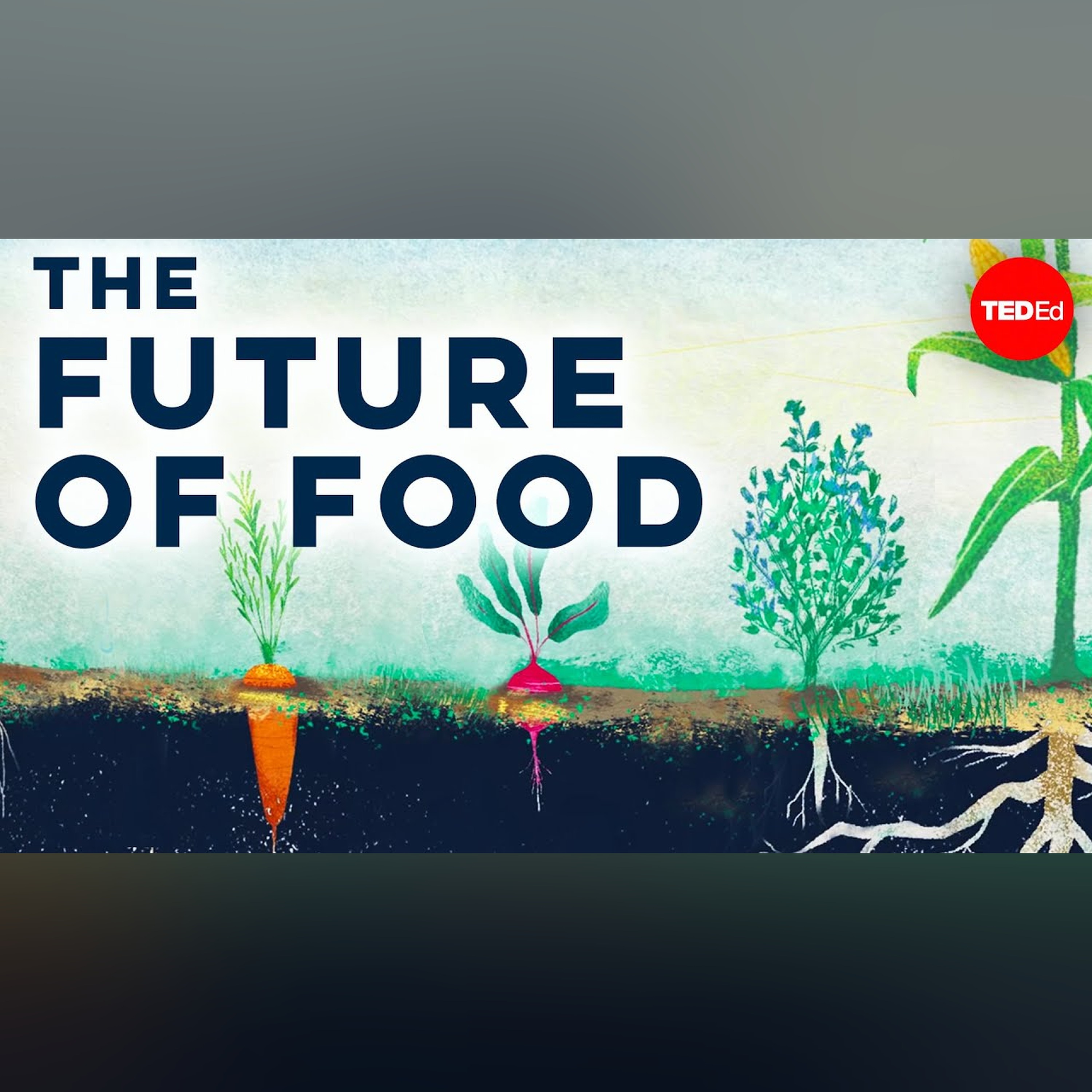 Can we create the "perfect" farm? - Brent Loken