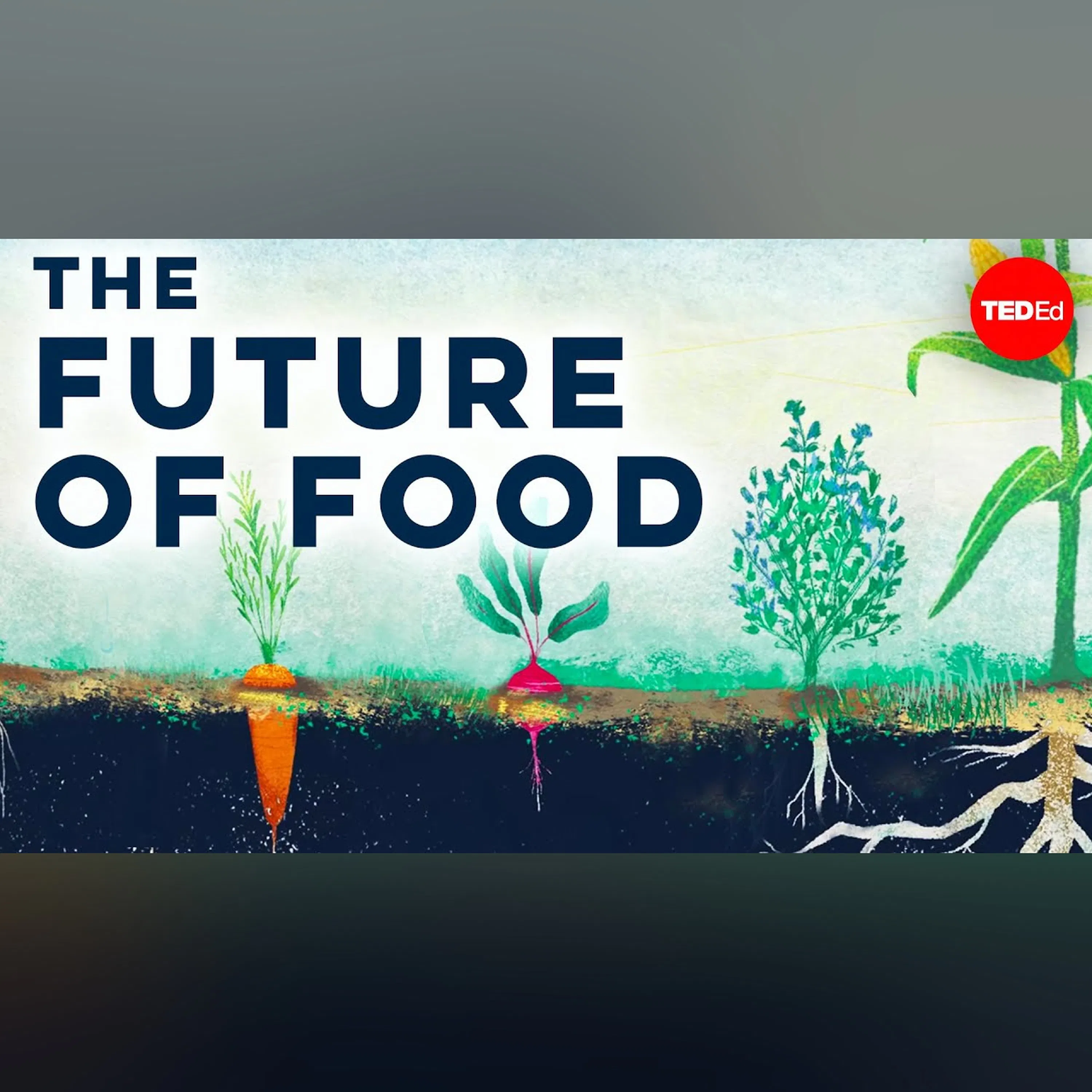 Can we create the "perfect" farm? - Brent Loken