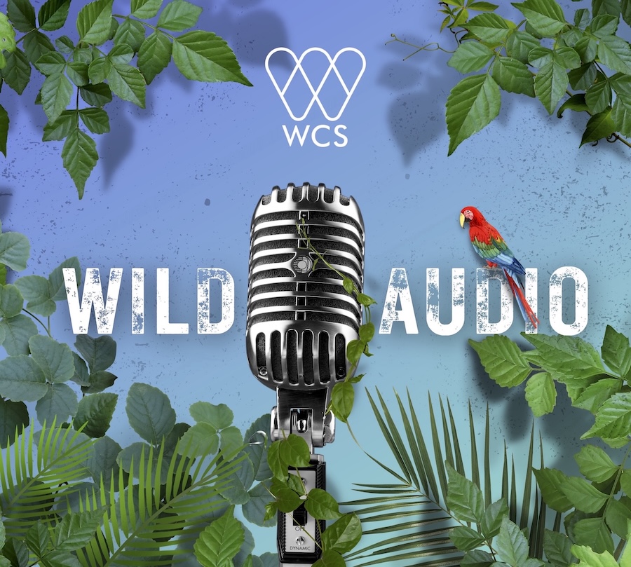 S7 E2: An Urgent Effort to Protect Canada’s Peatlands