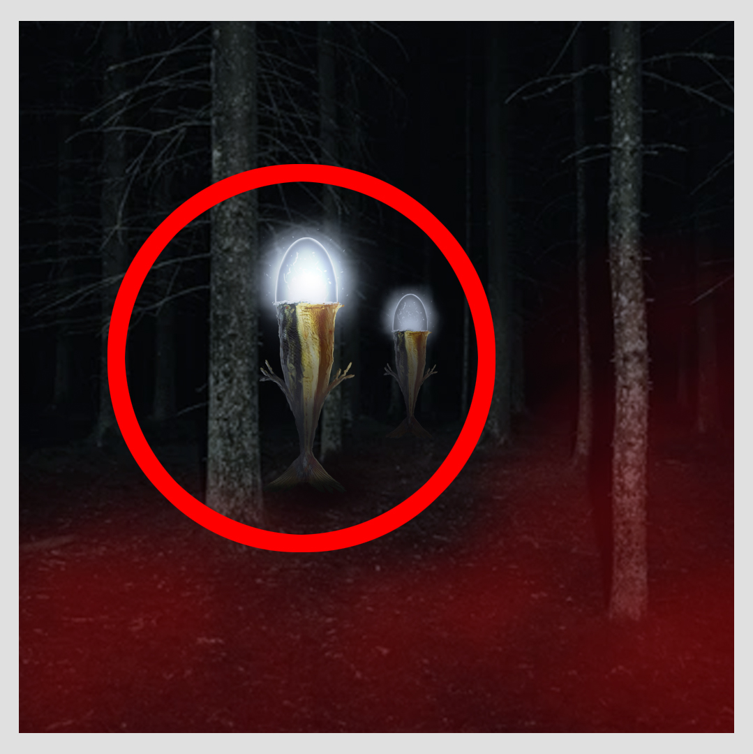 Idegenek figyelik Tarnaszentmáriát