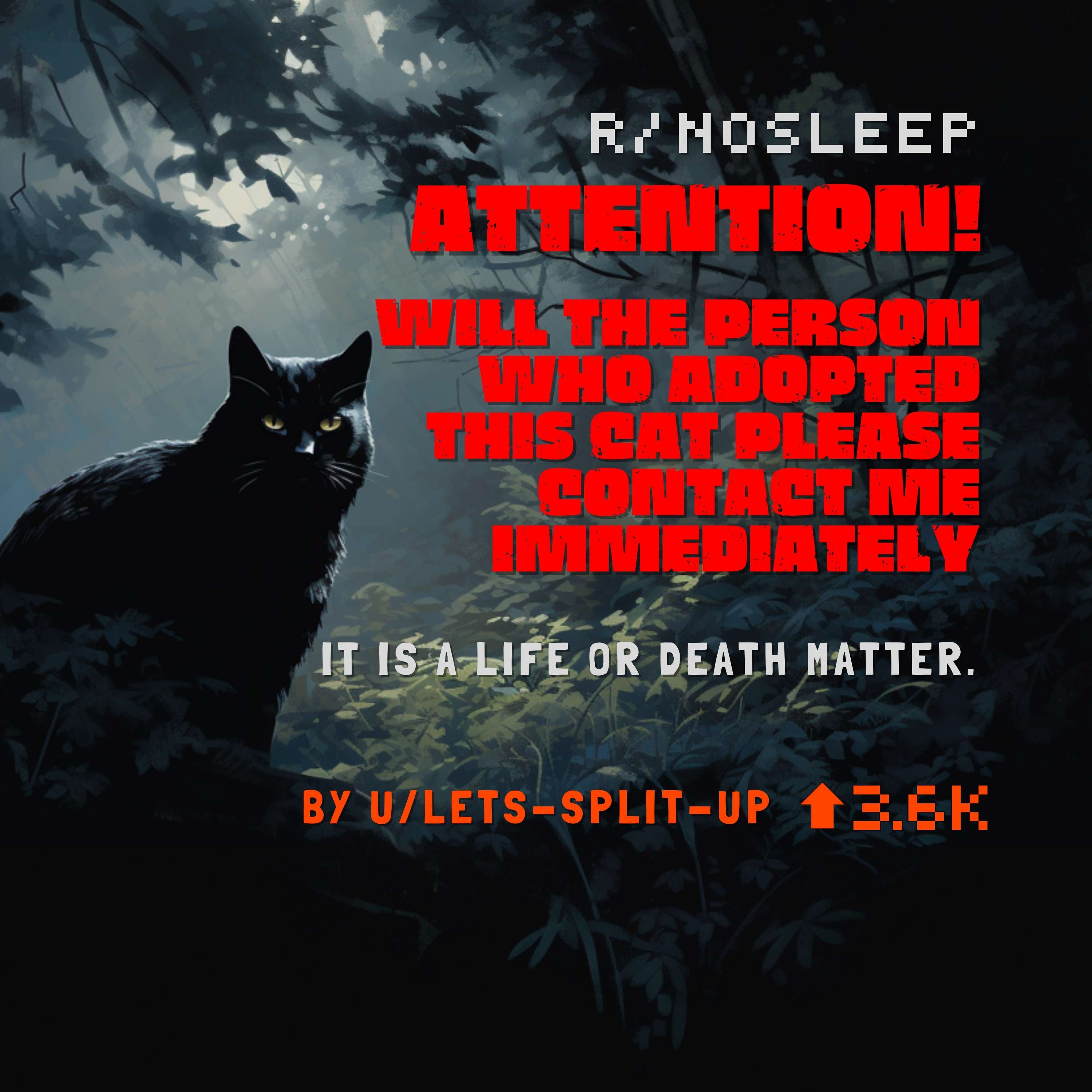 ATTENTION! Will the person who adopted this cat please contact me IMMEDIATELY by lets-split-up creepypasta