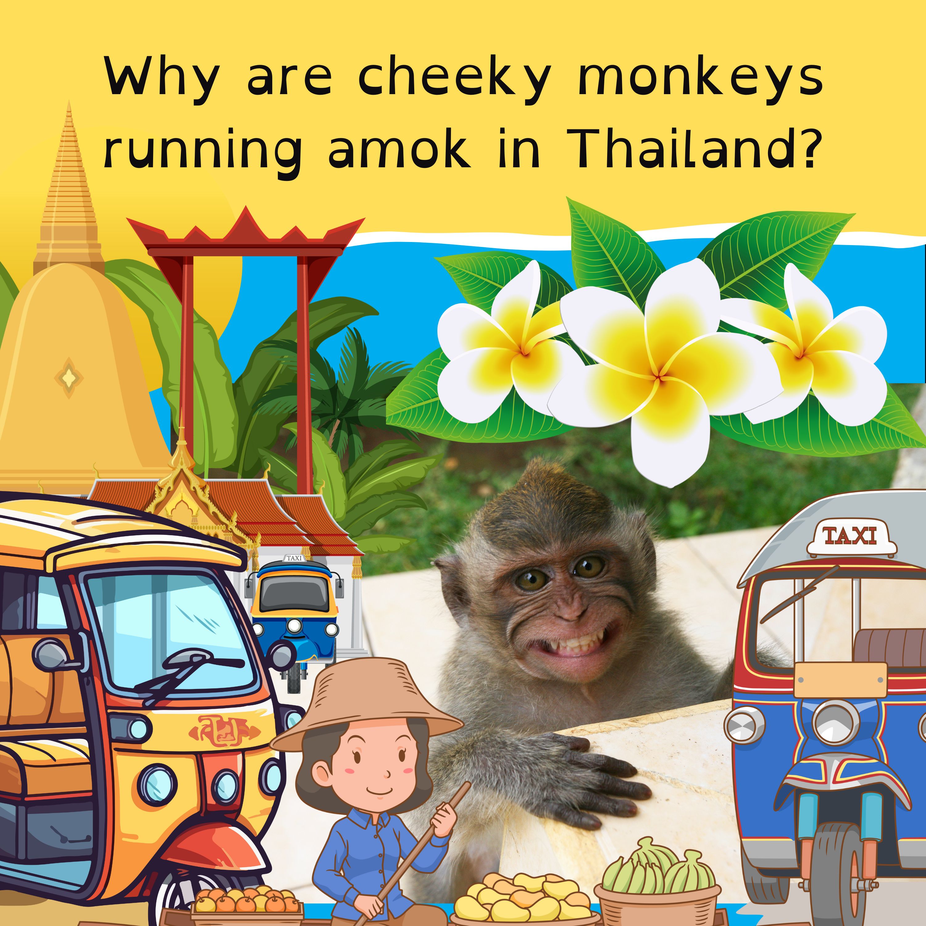 Koala vaccine provides new hope; Landslide in Papua New Guinea; big weekend for Mariners and Man Utd; and Thailand’s marauding monkeys.