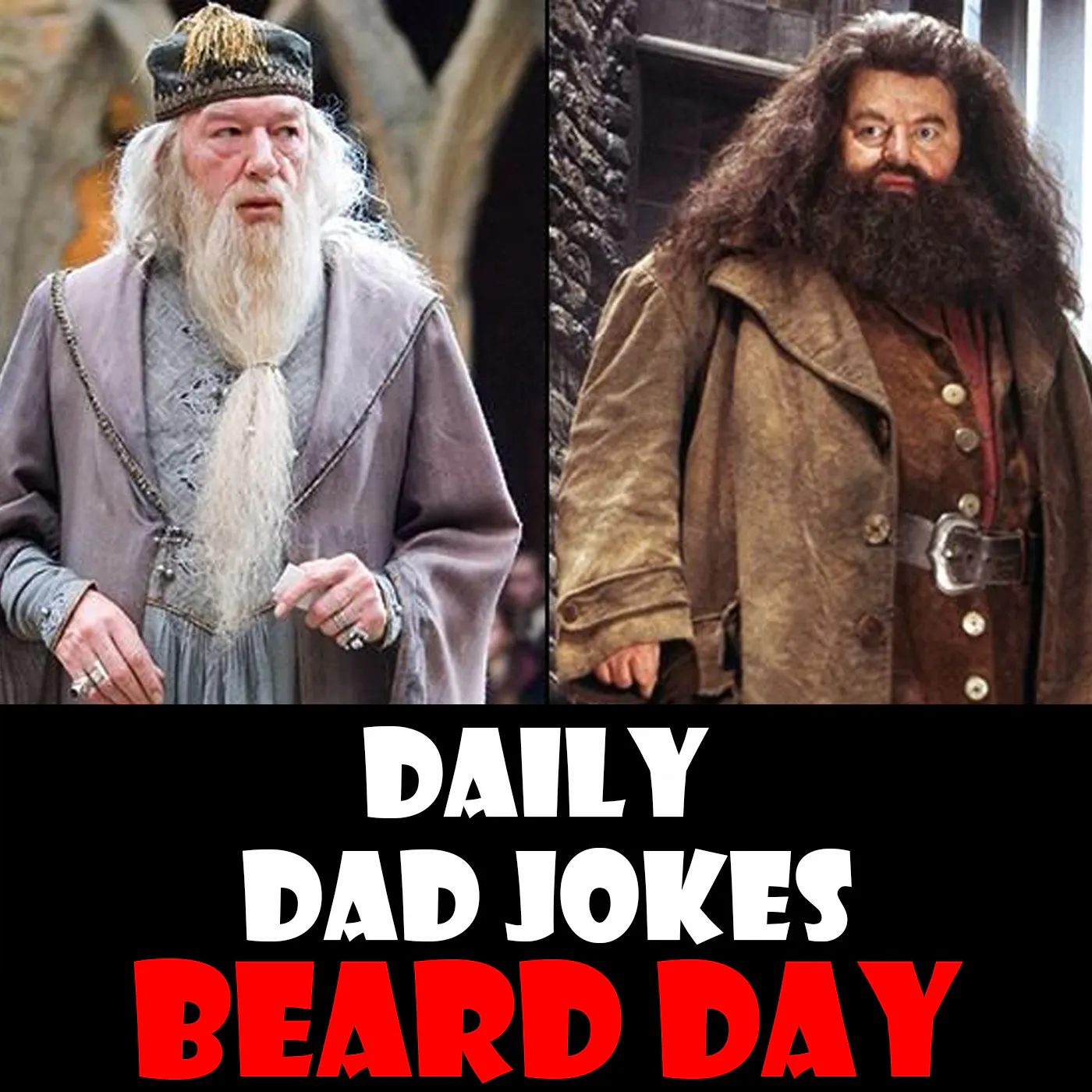 National Beard Day! 17 stubblelicious dad jokes! 02 September 2025