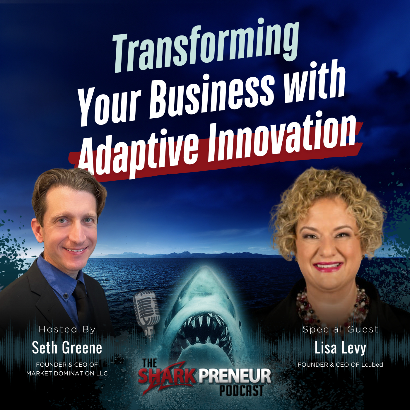 Episode 1200: Transforming Your Business with Adaptive Innovation with Lisa Levy