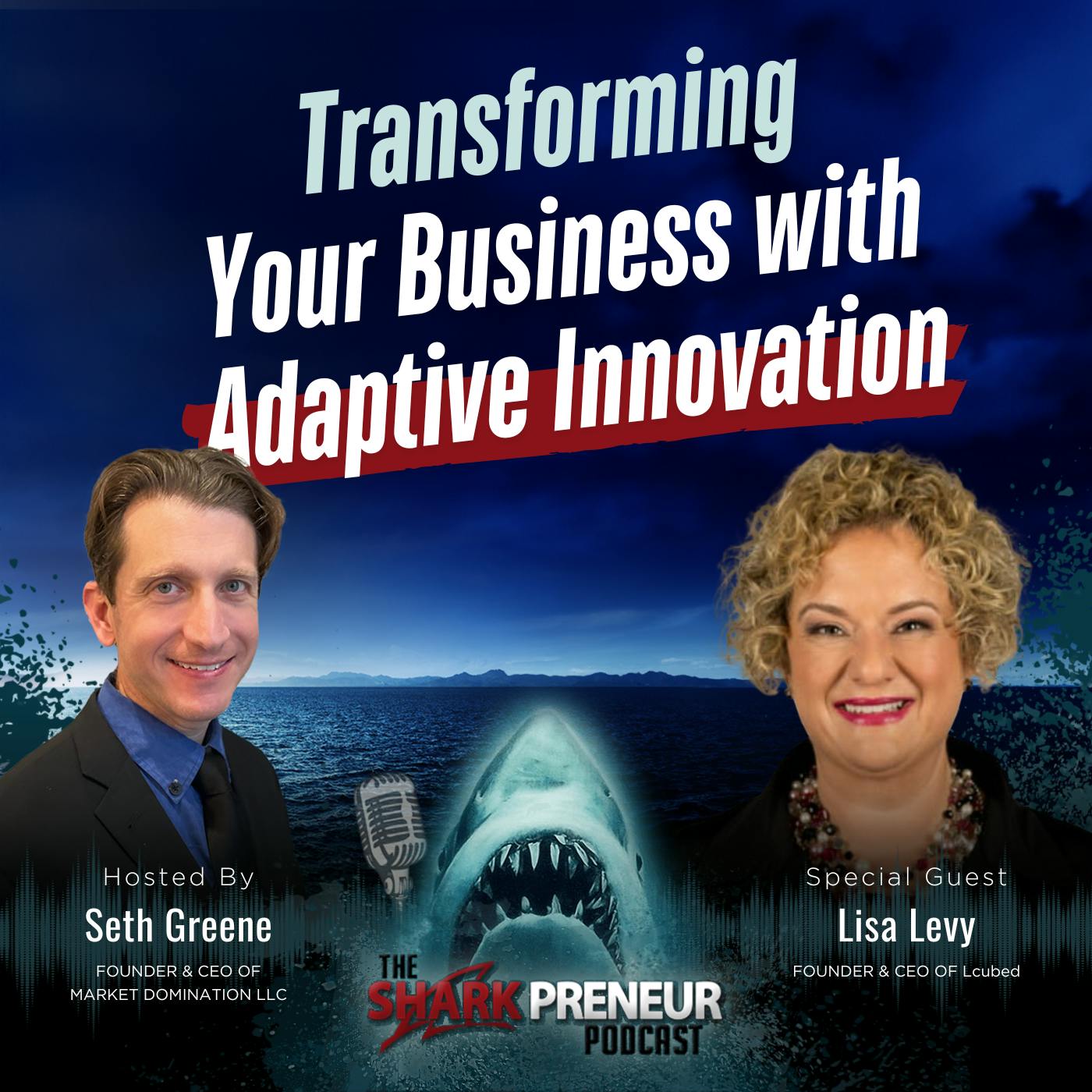 Episode 1200: Transforming Your Business with Adaptive Innovation with Lisa Levy Episode 1200: Transforming Your Business with Adaptive Innovation with Lisa Levy