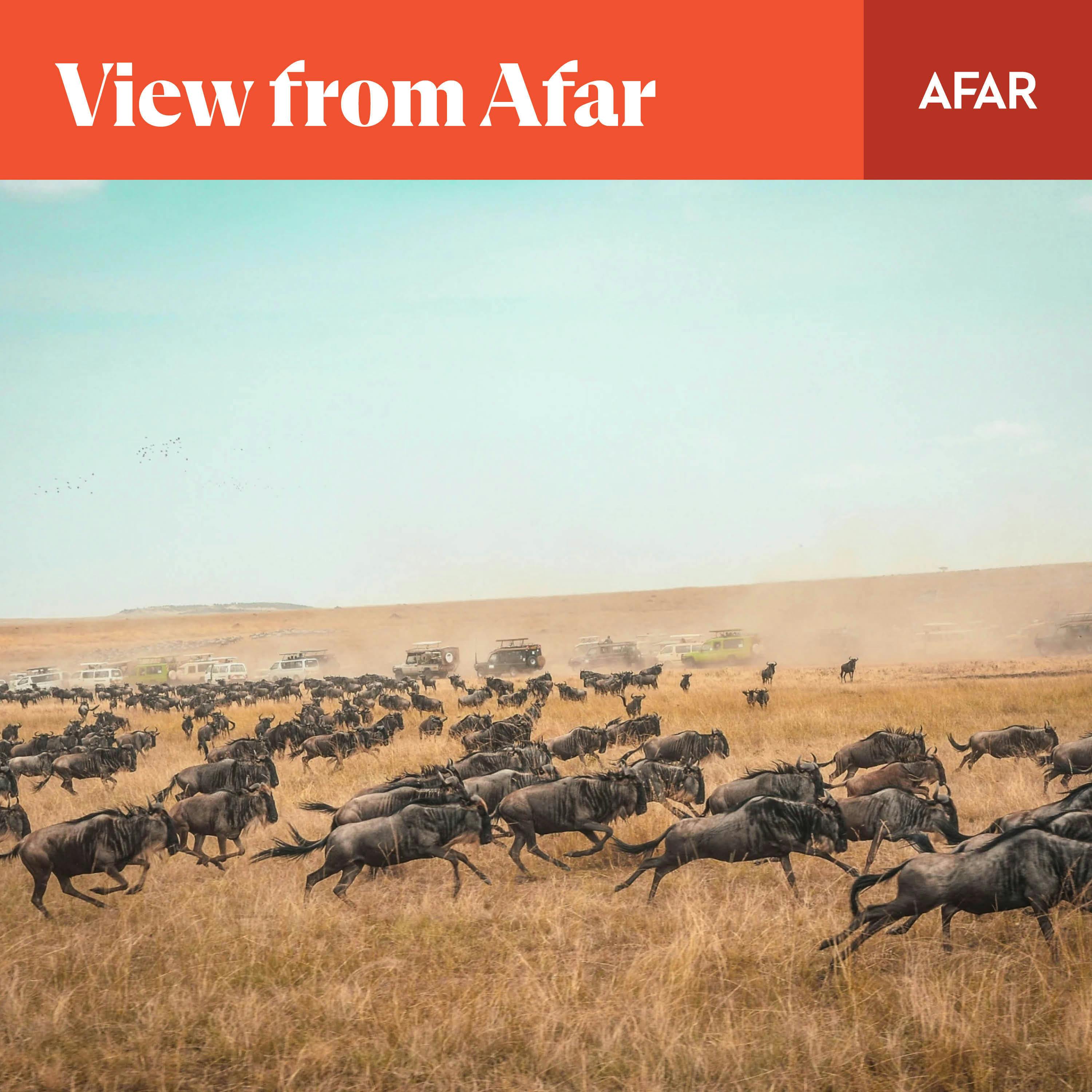 Has East Africa’s Great Migration Become Too Popular?