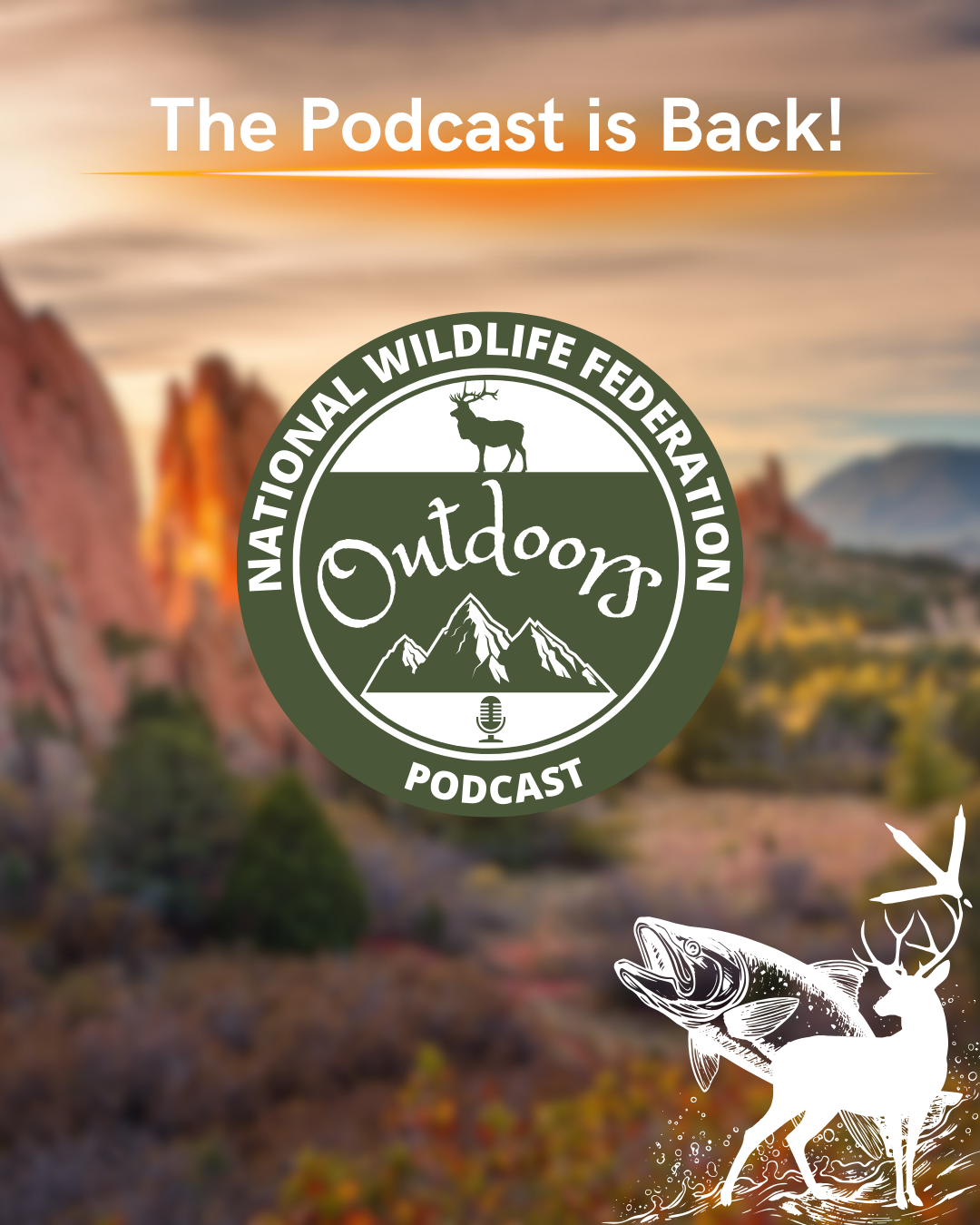NWF Outdoors Podcast Is BACK -  New and Improved Content!