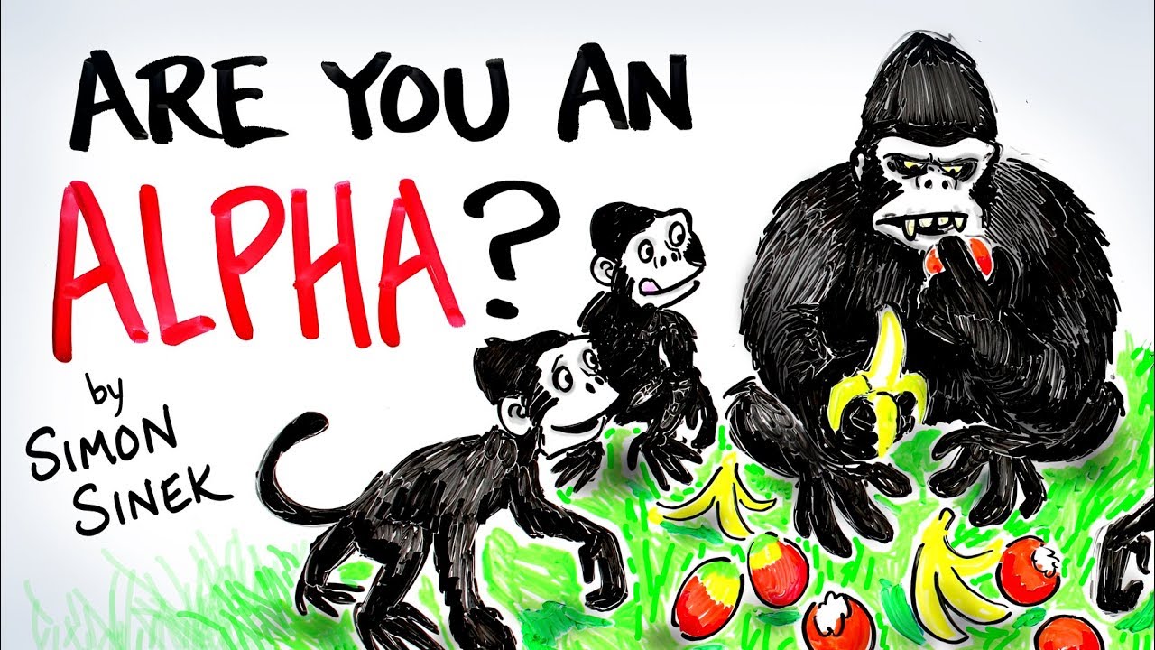 ARE YOU AN ALPHA? - Simon Sinek - Why Leaders Eat Last | After Skool