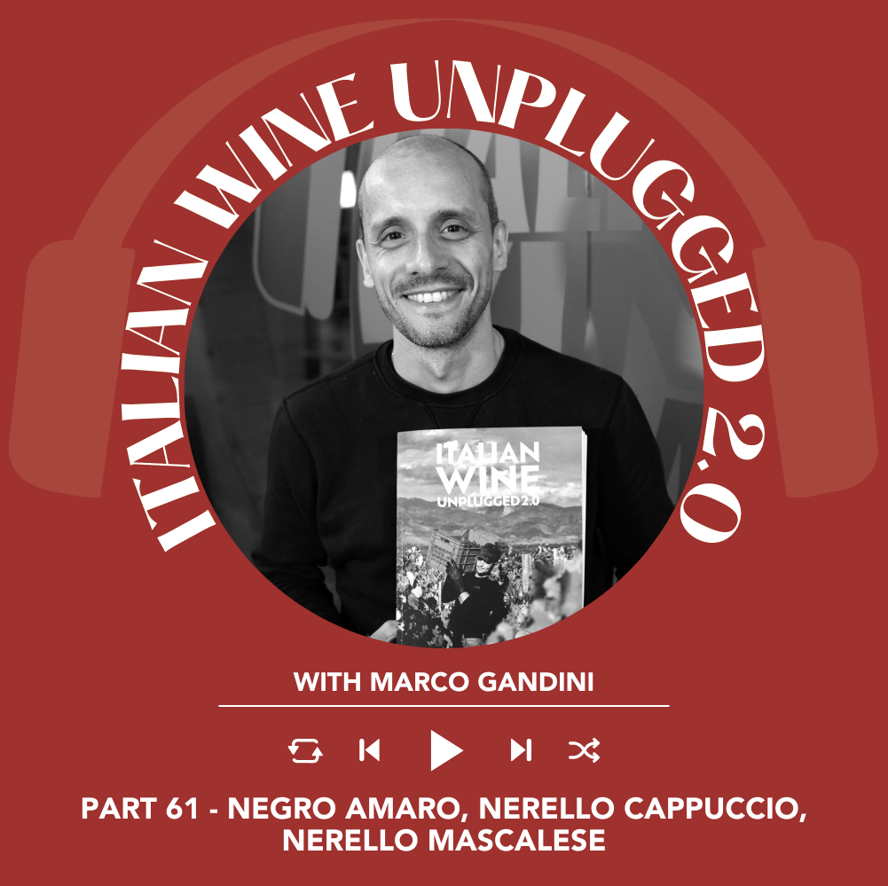 Marco Gandini Narrates Pt. 61 | Italian Wine Unplugged 2.0
