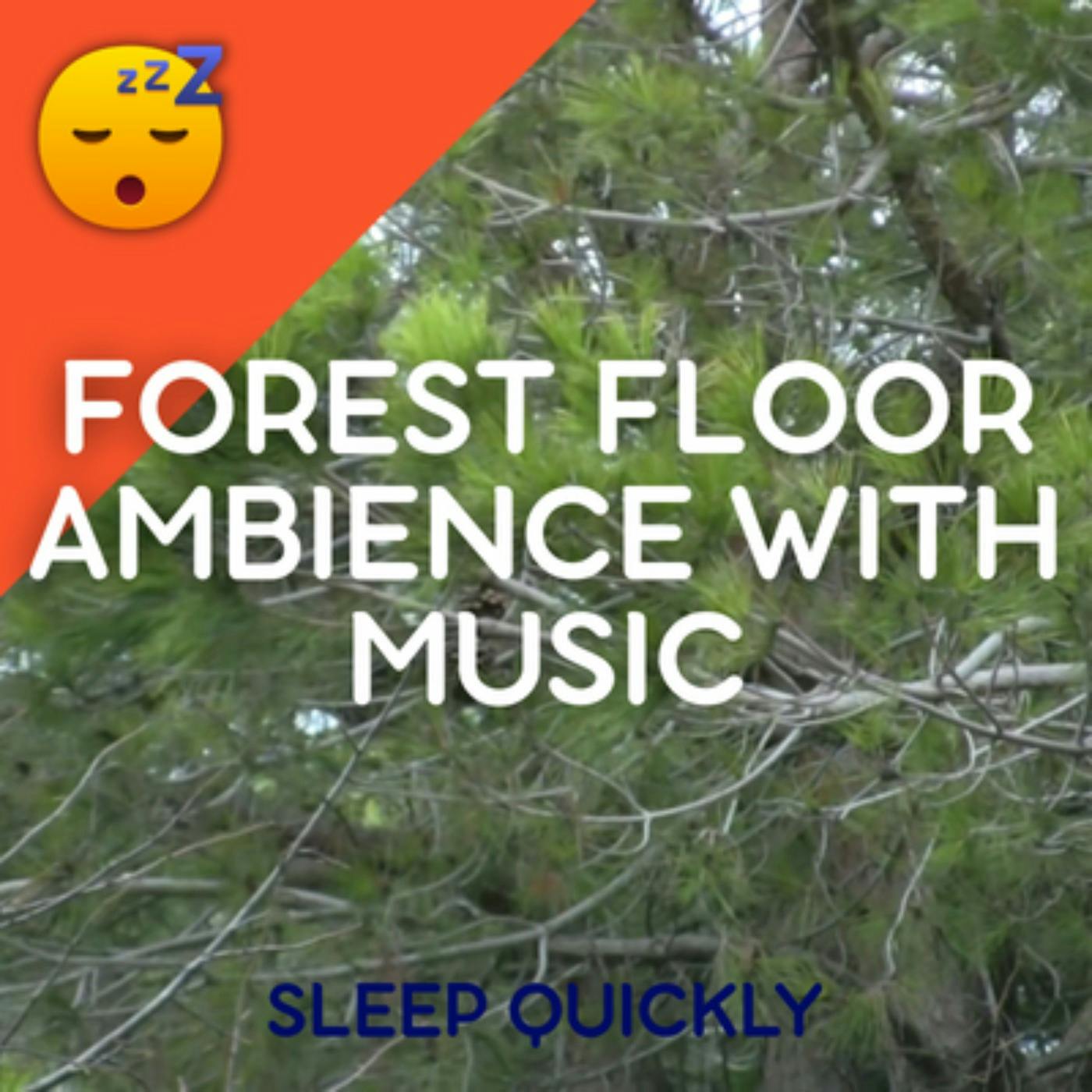 😴🍂🎵 FOREST Ambience with Beautiful MUSIC episode artwork