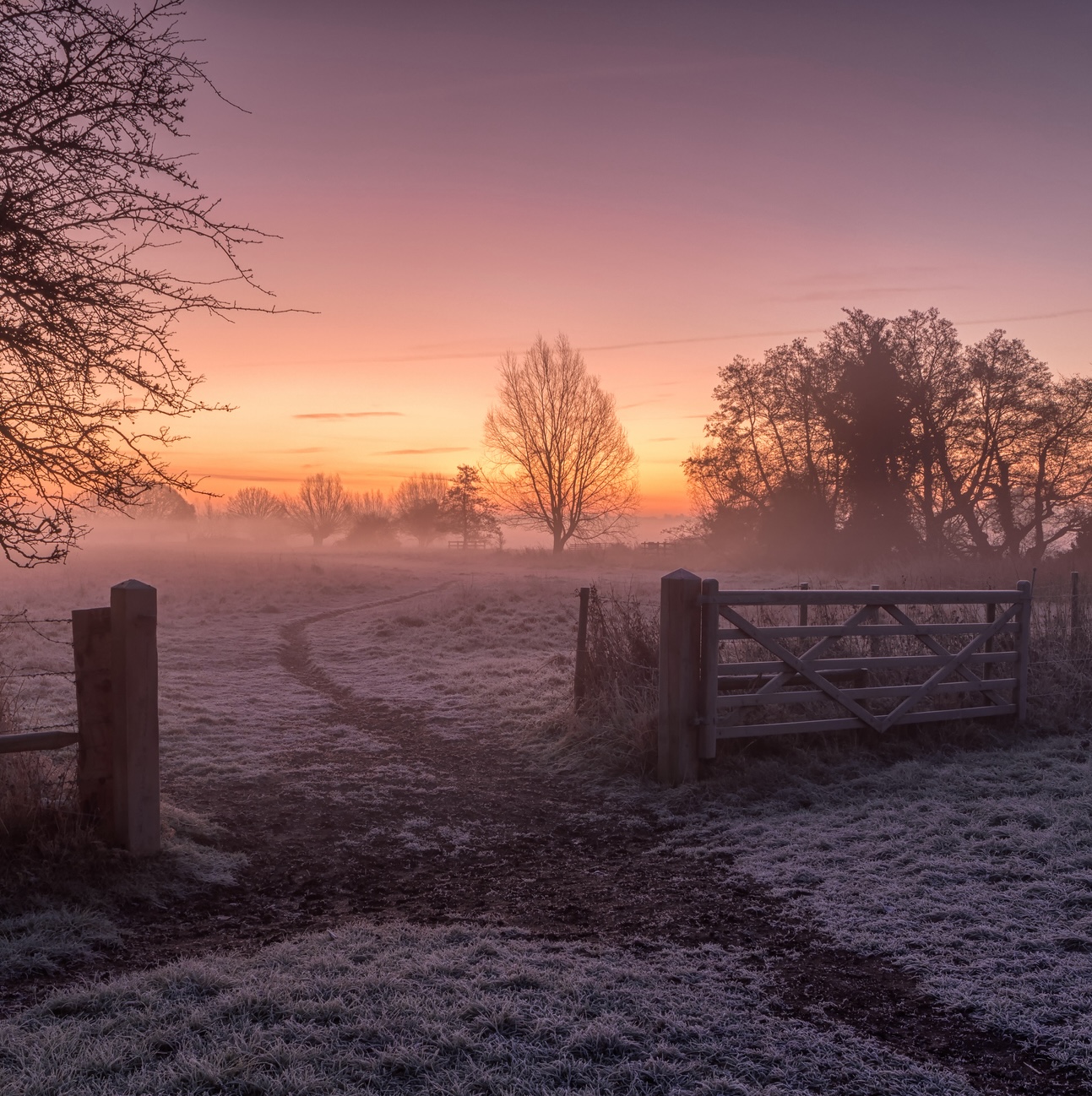 225: It's the Plodcast Christmas special - join the team for the Christmas quiz and other seasonal silliness