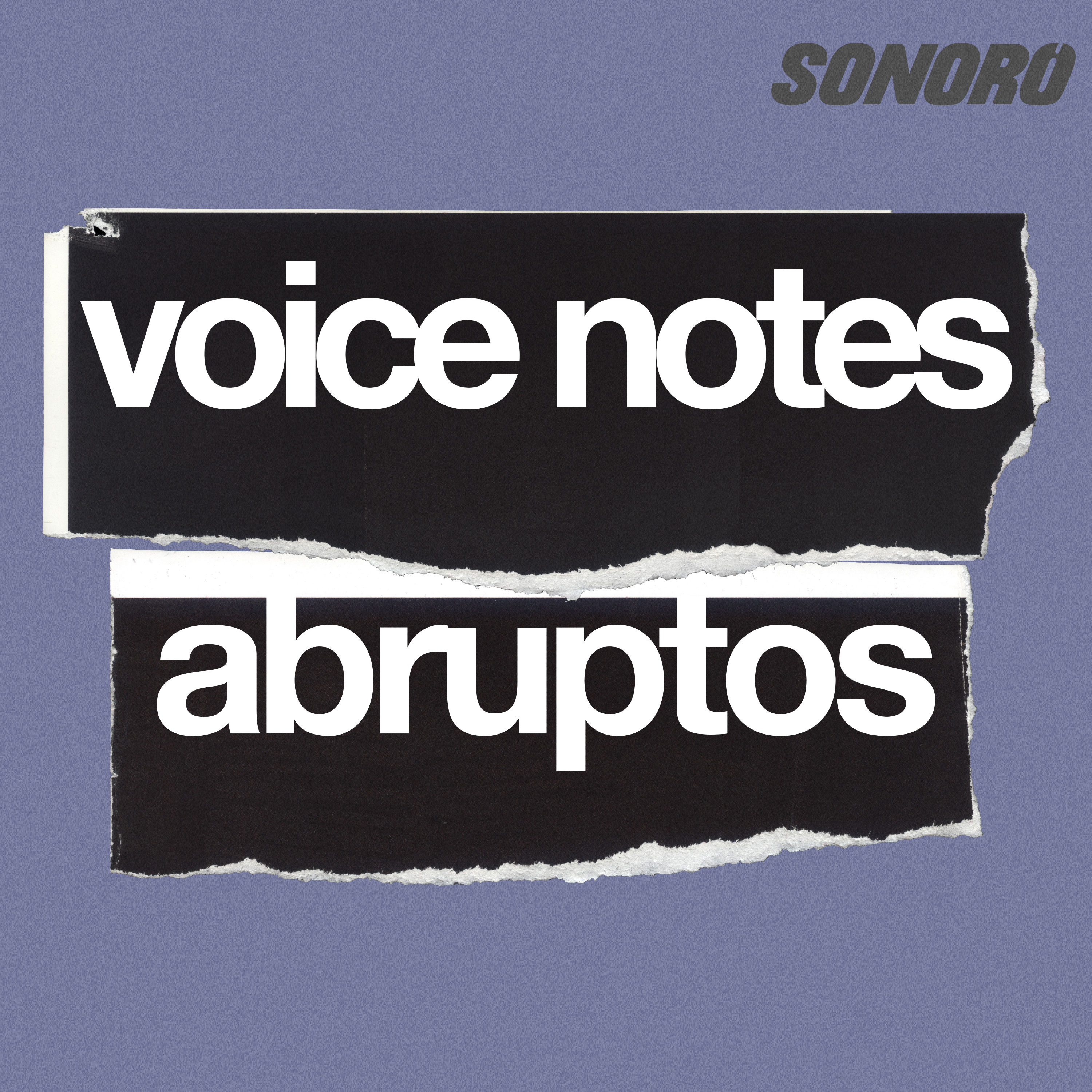 La historia del movimiento Riot Grrrl de los 90 - Voice note abrupto de Dani Rivero-Borrell