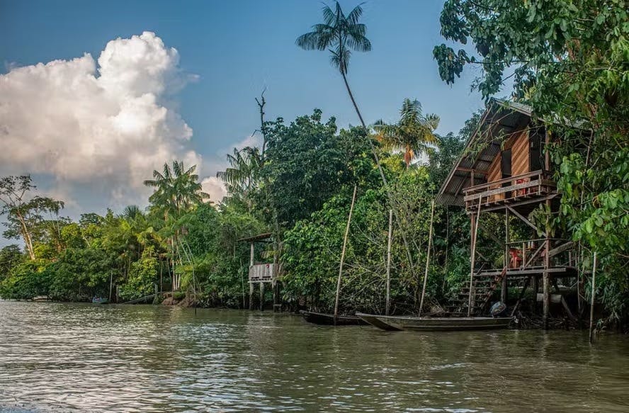 COP30: Brasil lança Plano Nacional de Arborização para garantir cidades mais verdes até 2045 COP30: Brasil lança Plano Nacional de Arborização para garantir cidades mais verdes até 2045