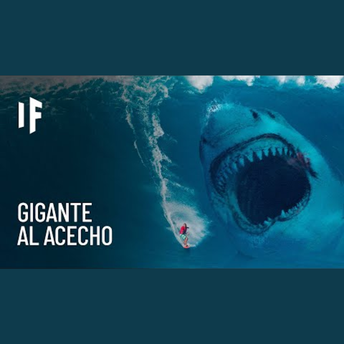 ¿Qué pasaría si el megalodón nunca se hubiera extinguido? episode artwork