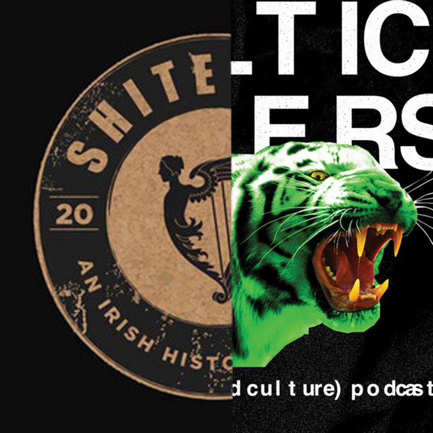General Election Special w/ James Moran (Celtic Ligers) podcast artwork