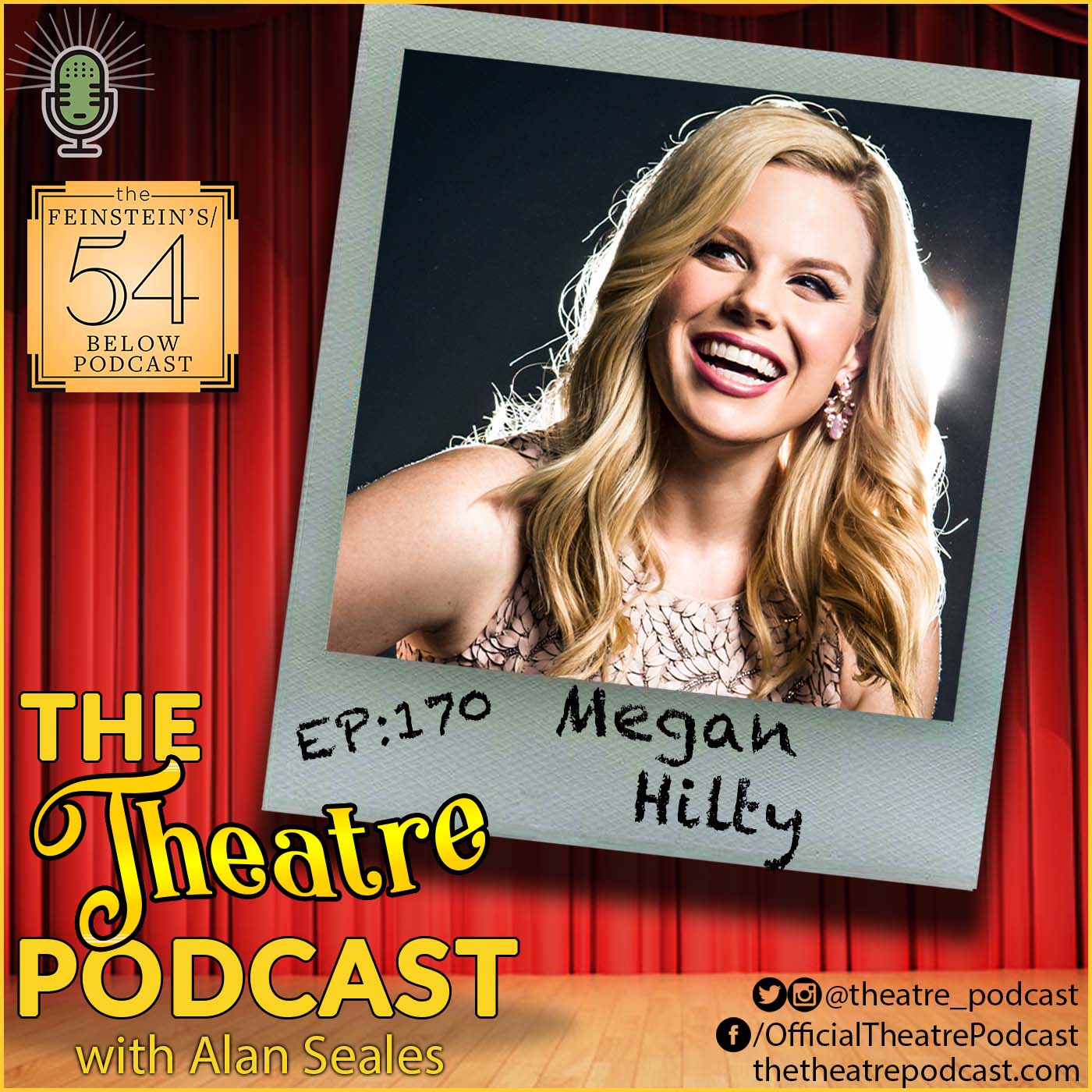 Megan Hilty: Wicked, Smash, 9 to 5, Desperate Housewives, Ugly Betty - and so many more