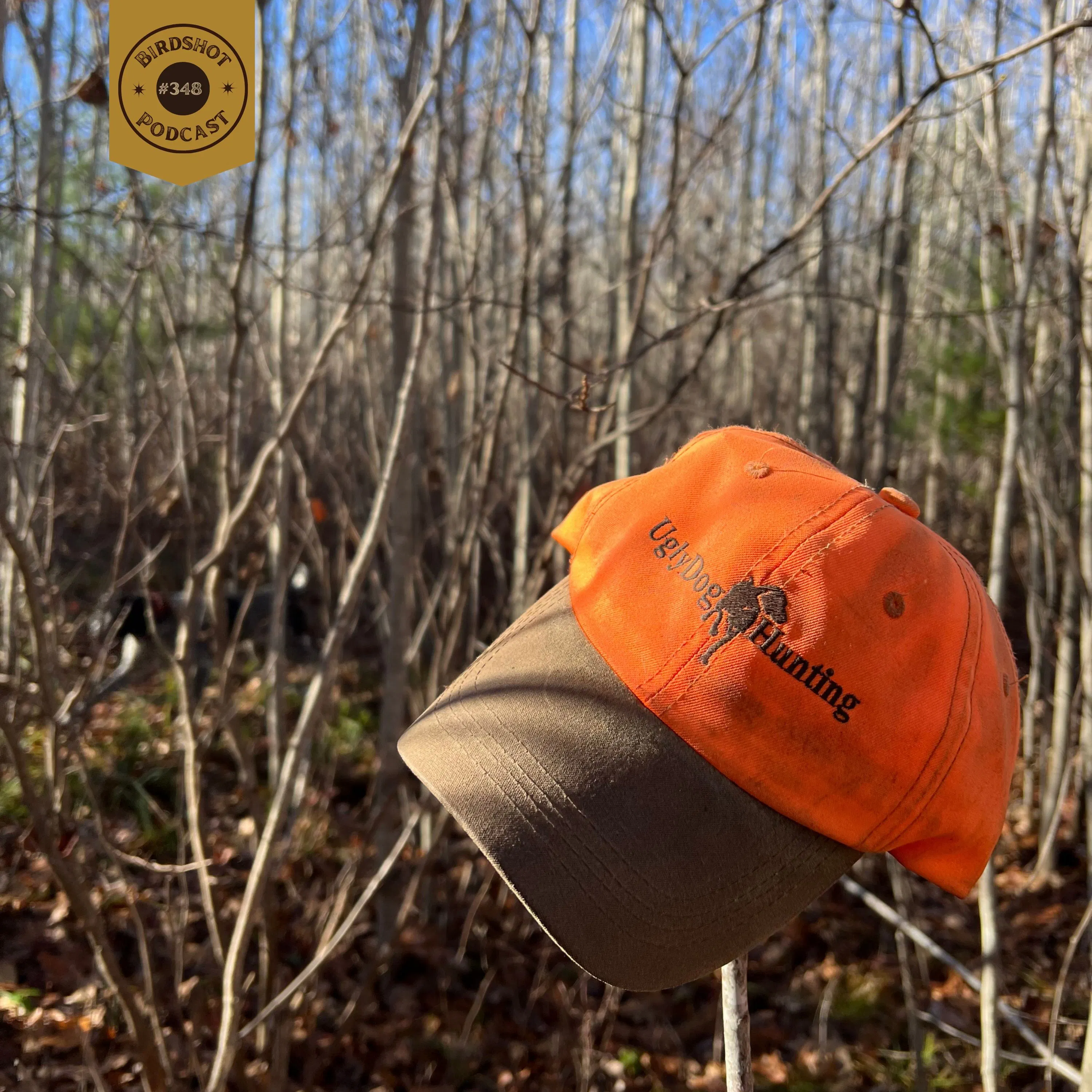 #348 | The Gear That Made a Difference This Upland Season with Mike Neiduski episode artwork