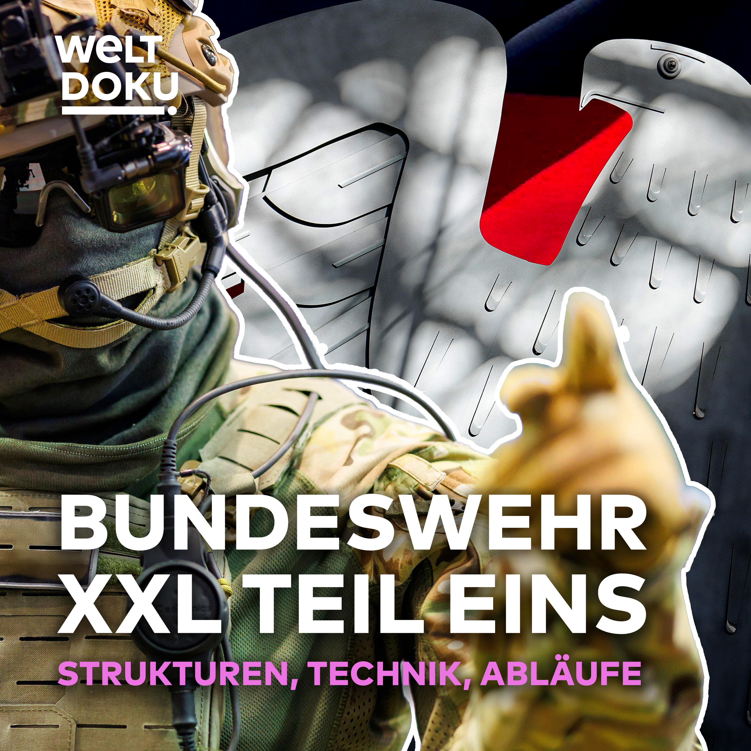 INSIDE BUNDESWEHR: Das deutsche Militär im Allround-Check (Teil 1) I WELT Binge Marathon episode artwork