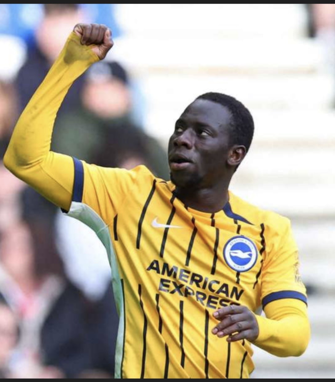 Albion’s Adventures in Sunderland