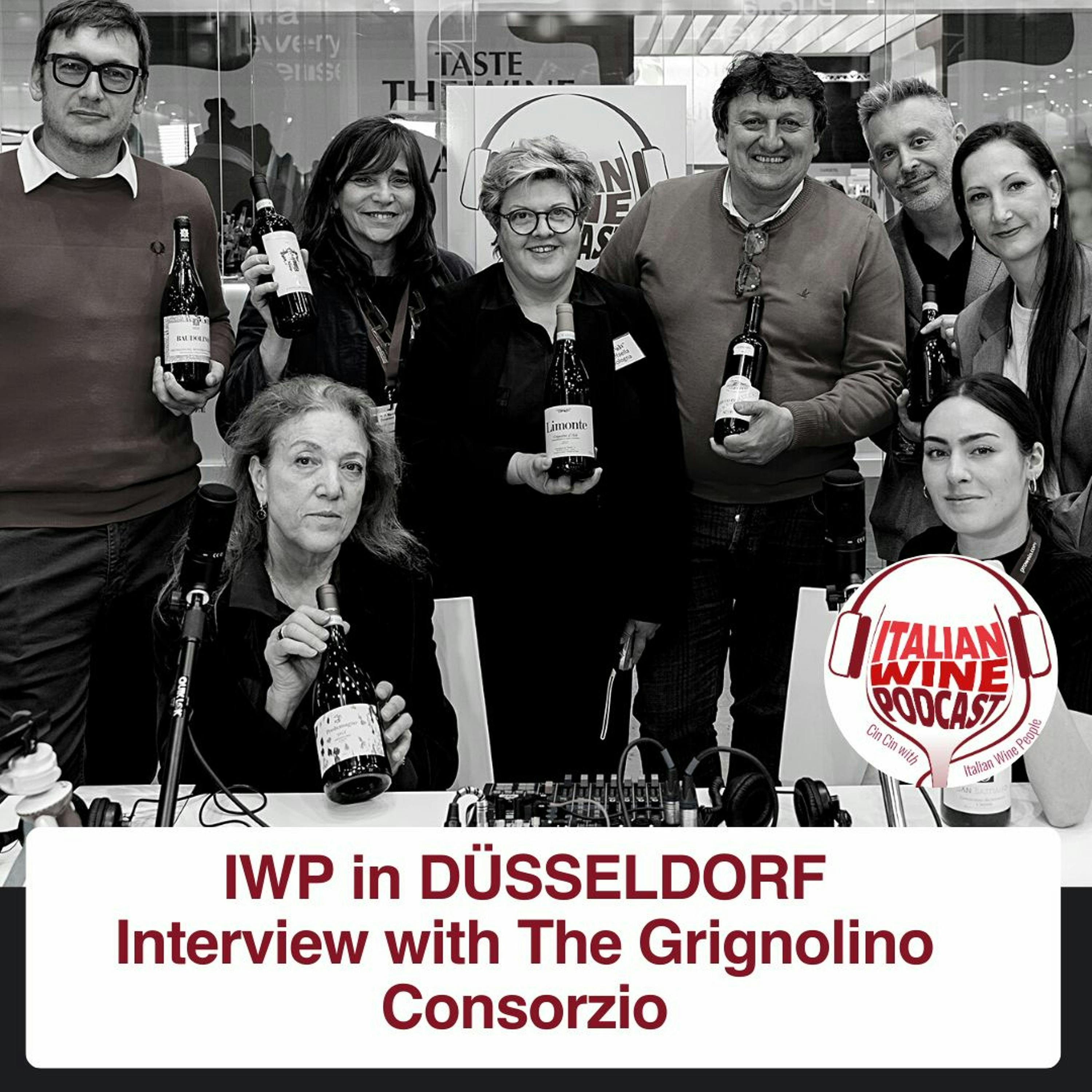 Ep. 1346 The Grignolino Consorzio | Italian Trade Agency Masterclass Wineries In Germany