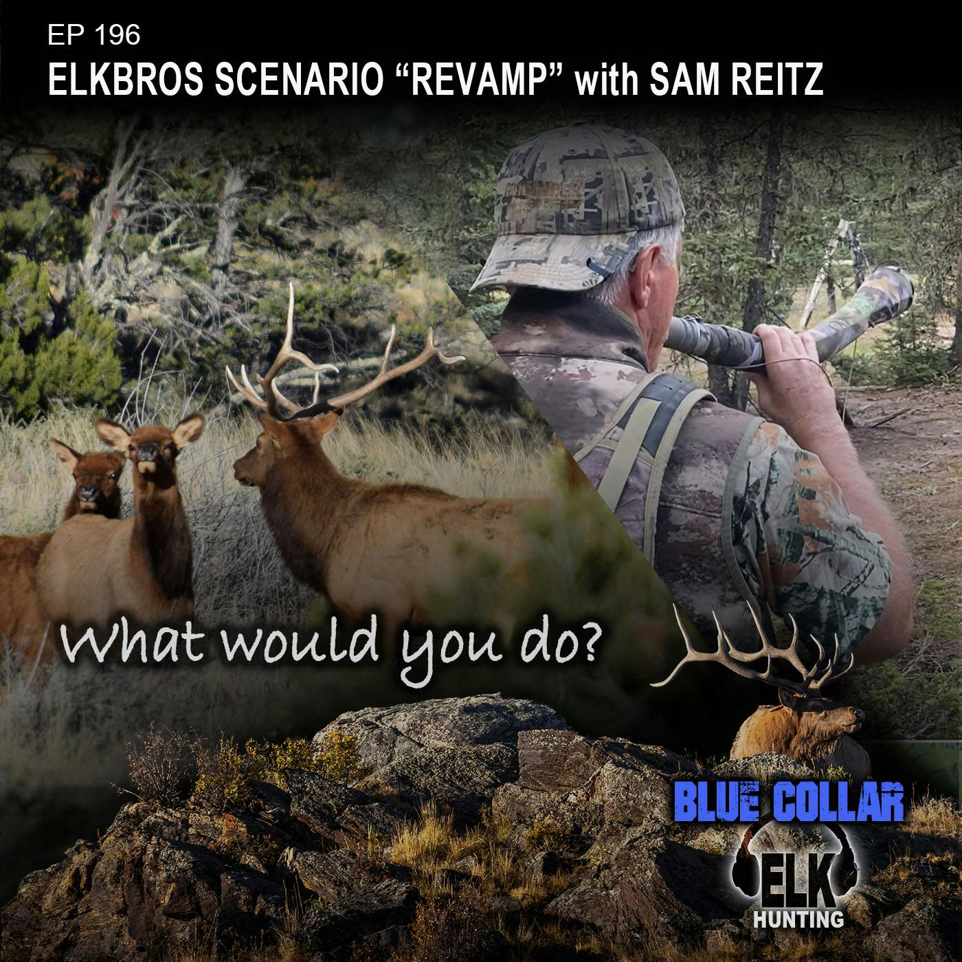 EP 196: Elk Scenario 