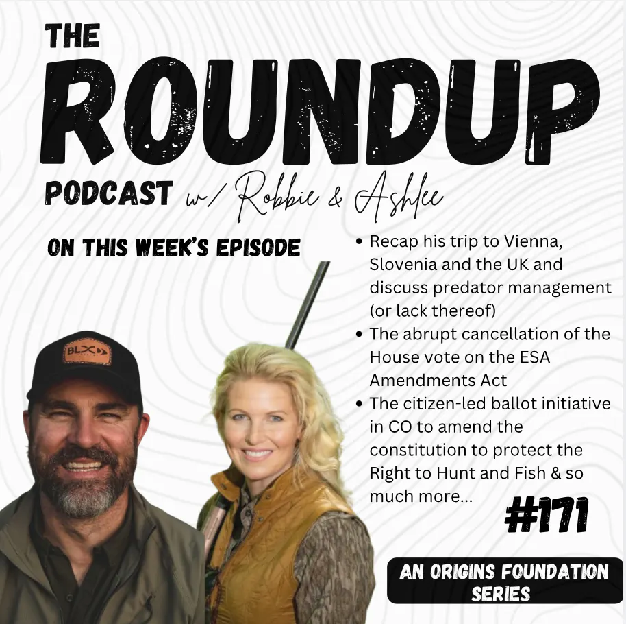 Roundup 171 | Weekly Roundup with Robbie and Ashlee episode artwork