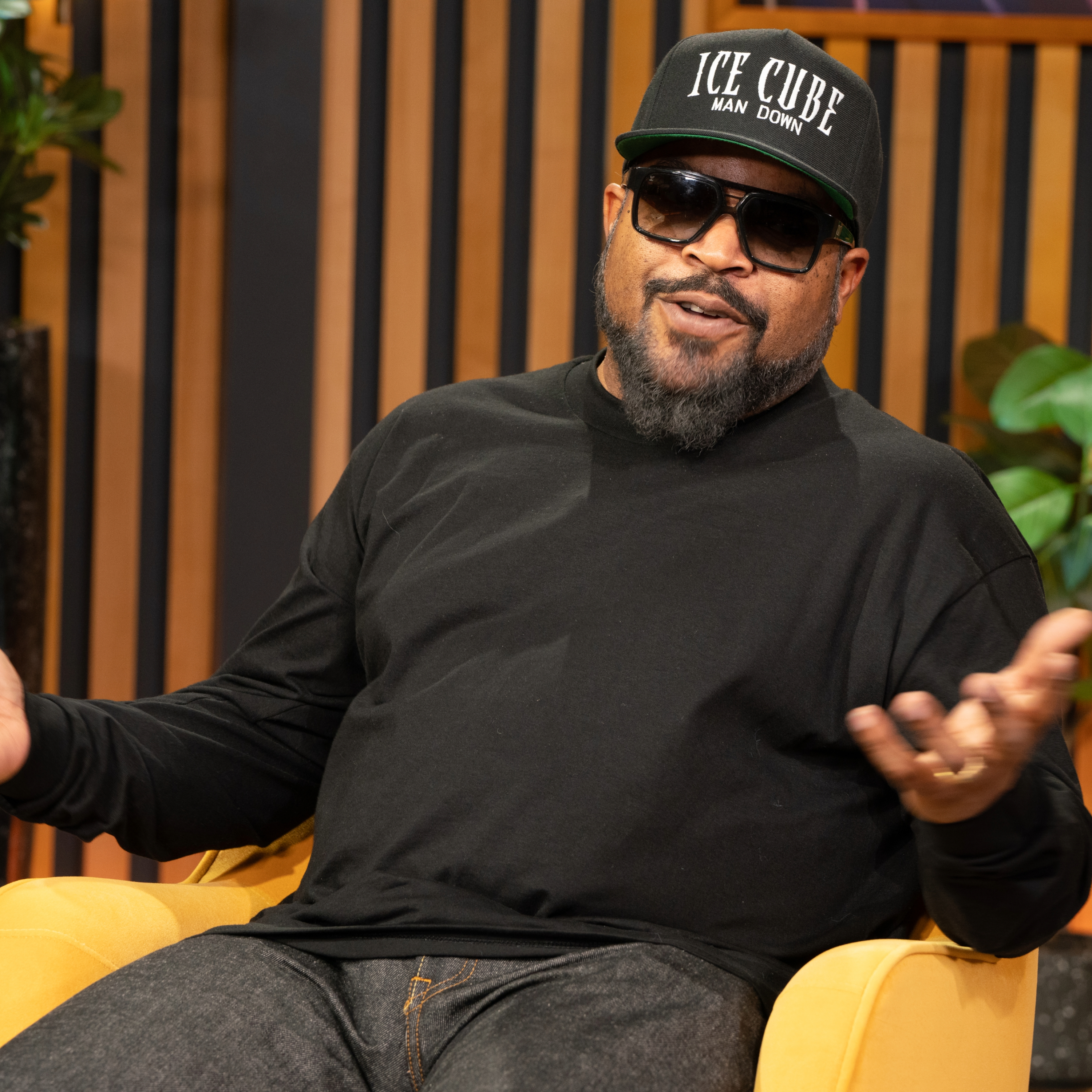 Ice Cube & Karrueche Tran episode artwork